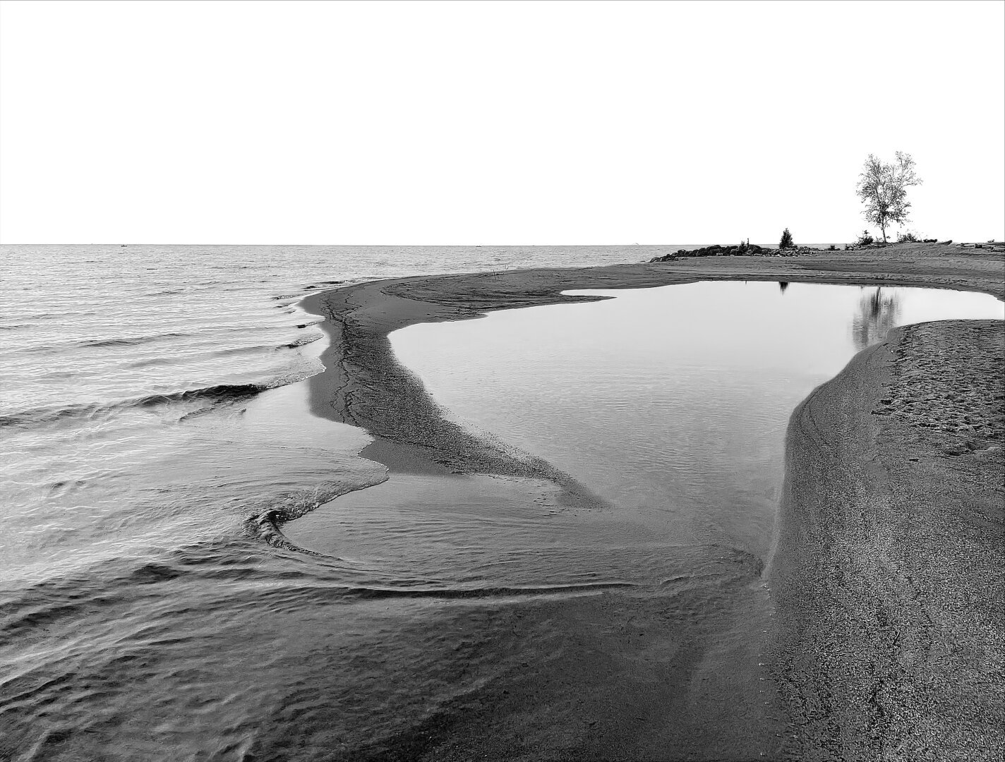 Black and white photo of a beach with a small tree in the background.