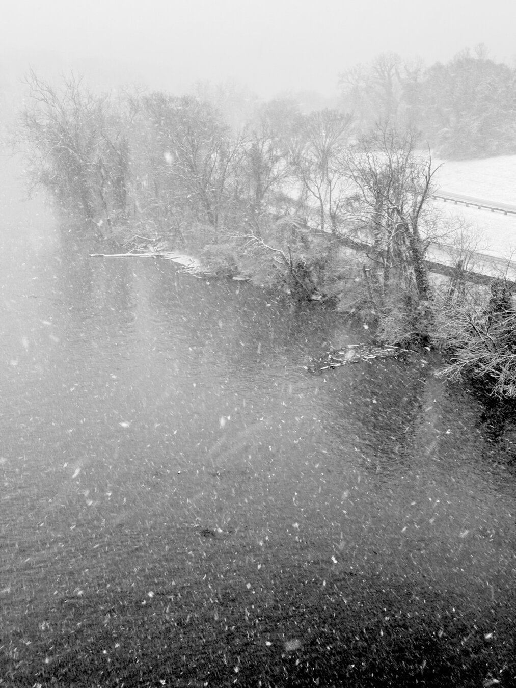 A black and white view of the shore of the Potomac on the Virginia side of the river. Snow is blowing all over the place.