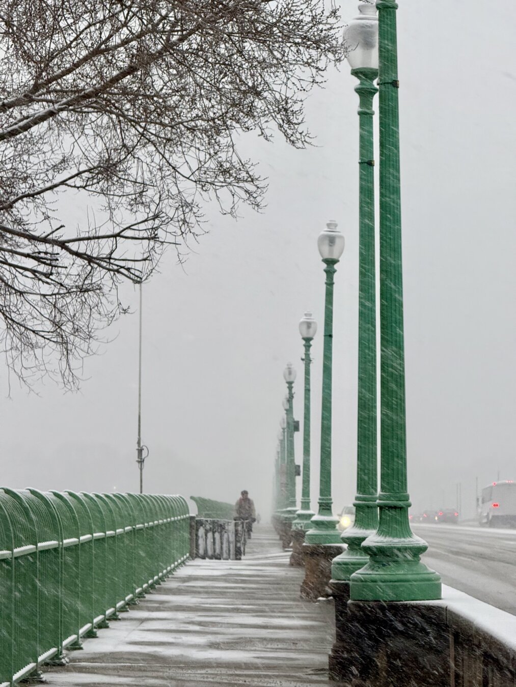 The sidewalk side of the Key Bridge with its green railing and light poles stands out against the snowy backdrop. There’s a bicyclist making their way into DC
