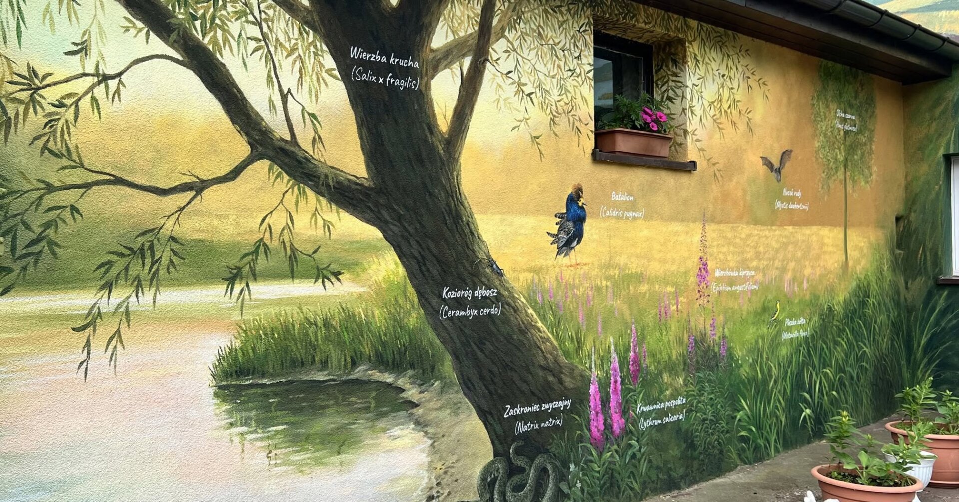 Artwork by Wallart in Stara Rudnica, Poland