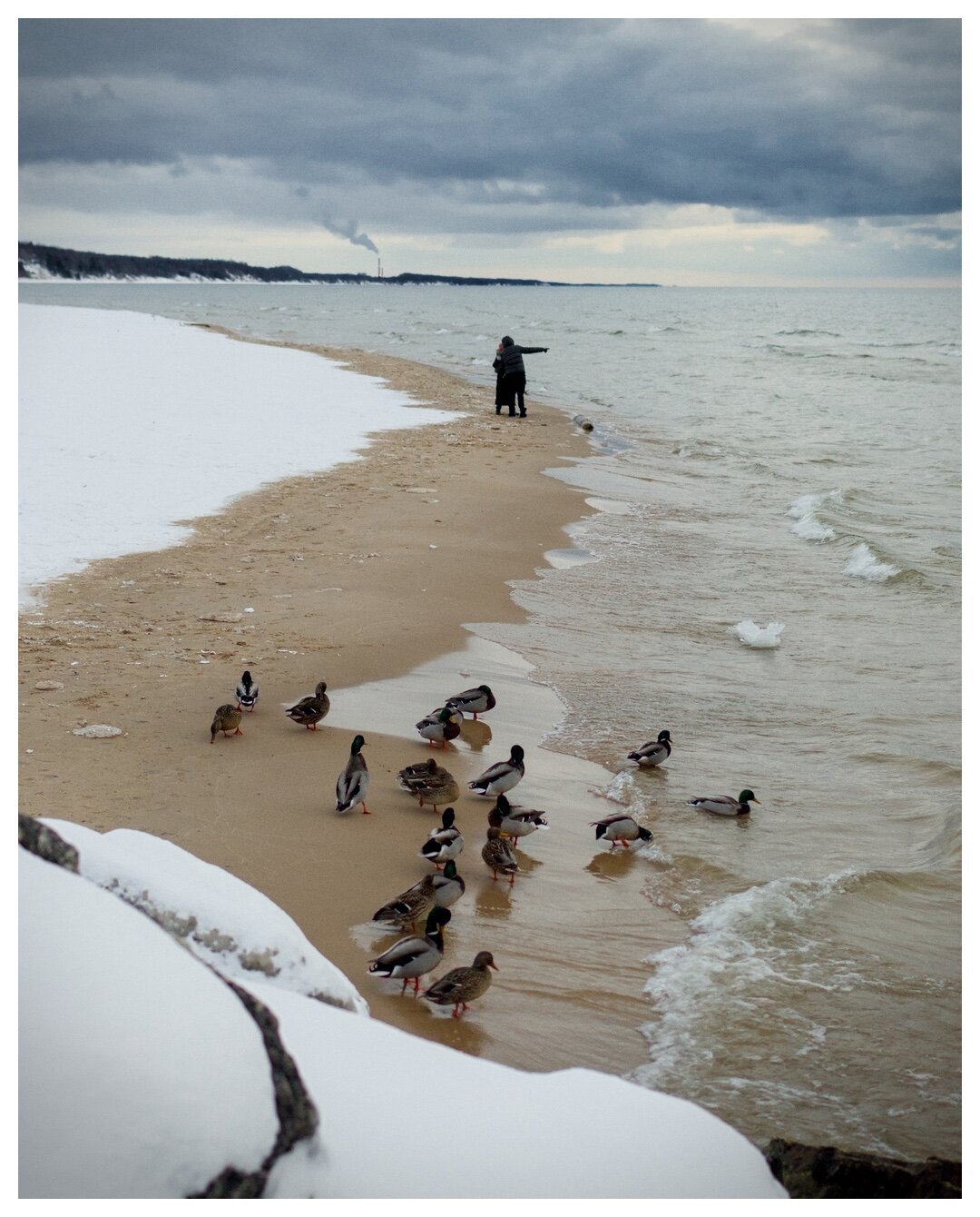 Two women standing on a cold beach and pointing into the distance. A group of ducks is huddled together nearby, while the waves of Lake Michigan come in towards them. There is snow on the beach and a smoke stack in the far distance.