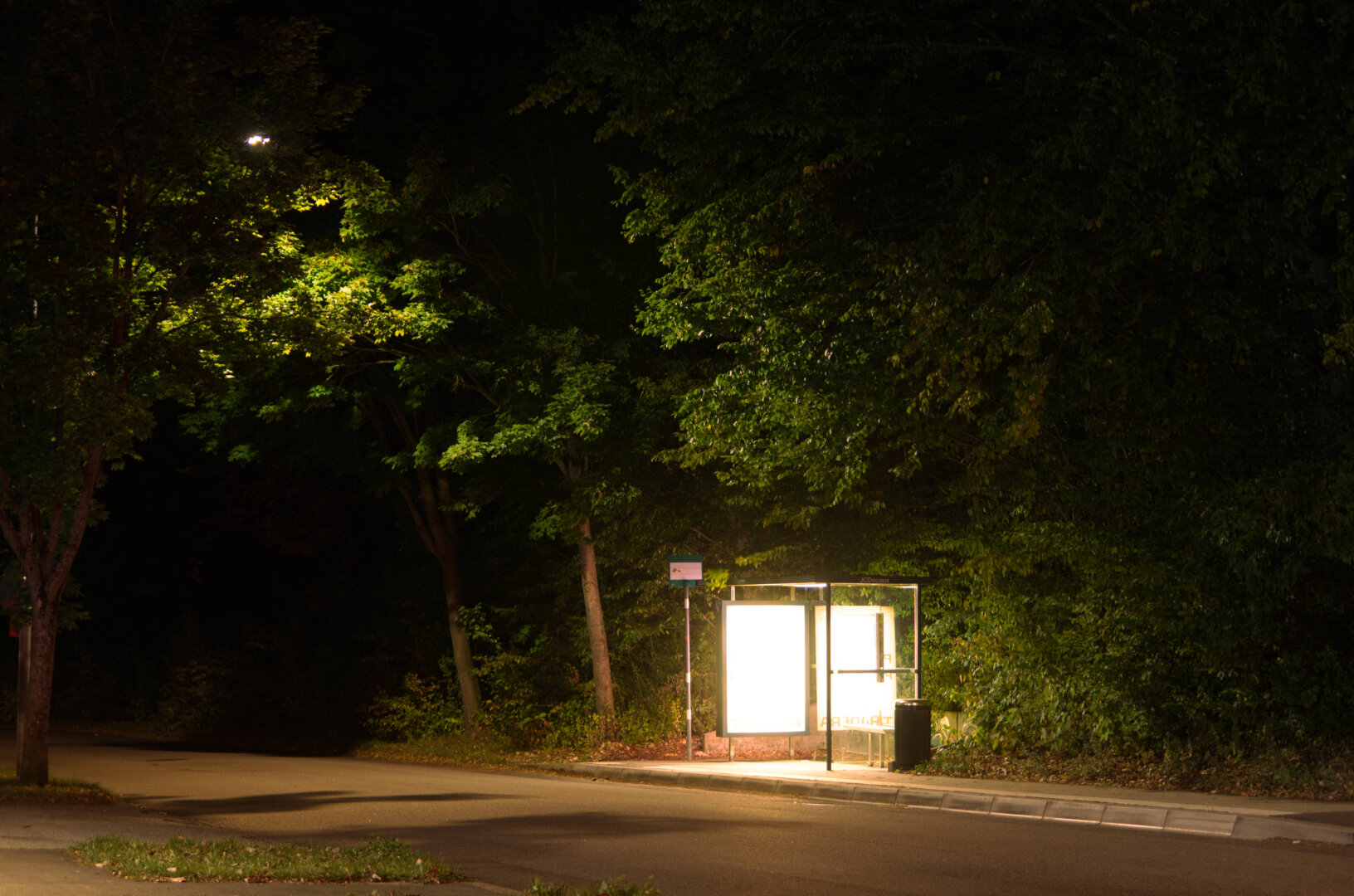 Bus stop, golden and glowing, surrounded by/nestled in green woods and darkness.