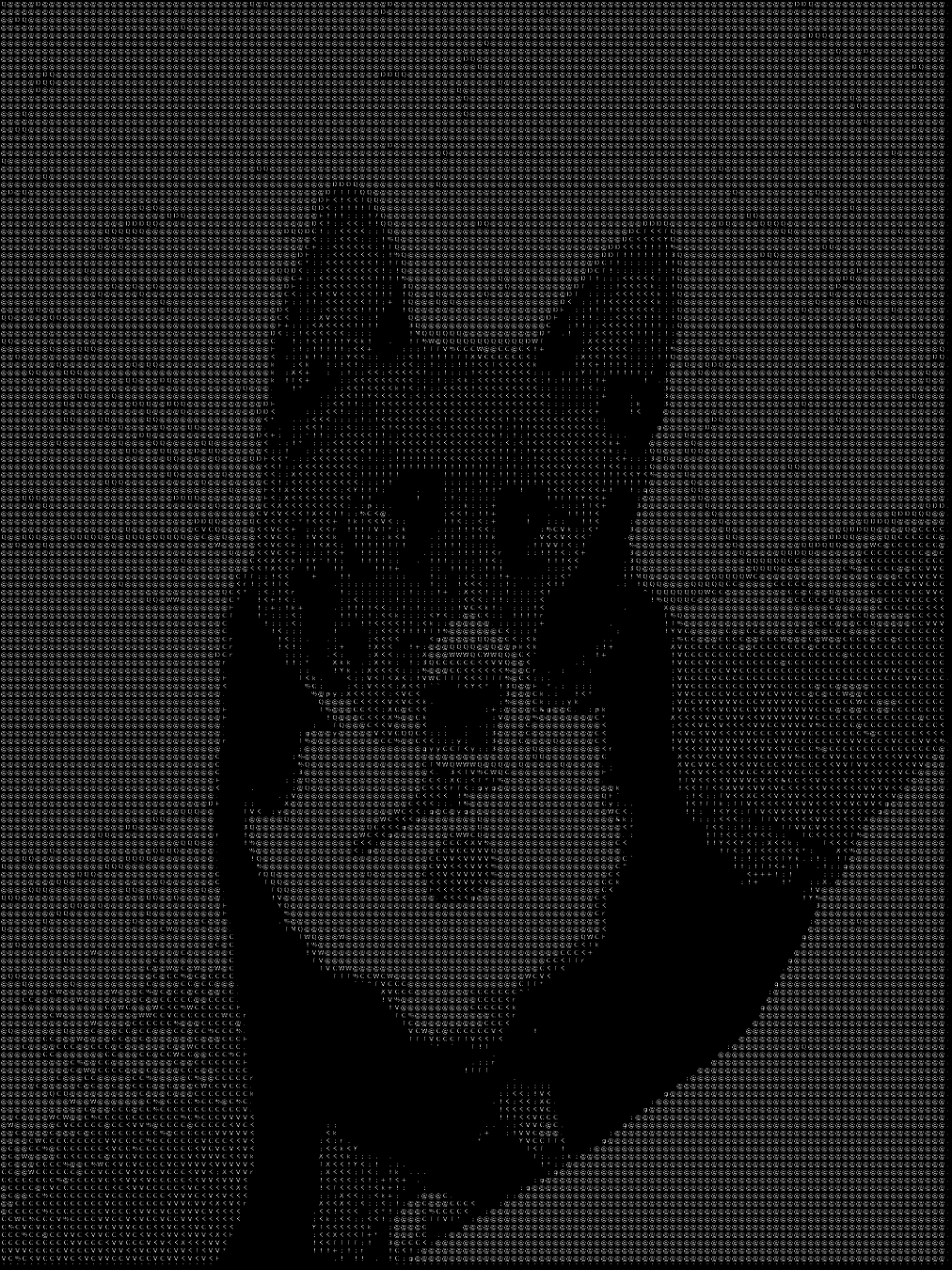 ascii art conversion of a picture of a dog. aspects of the image are converted in to text characters to create a specific art style