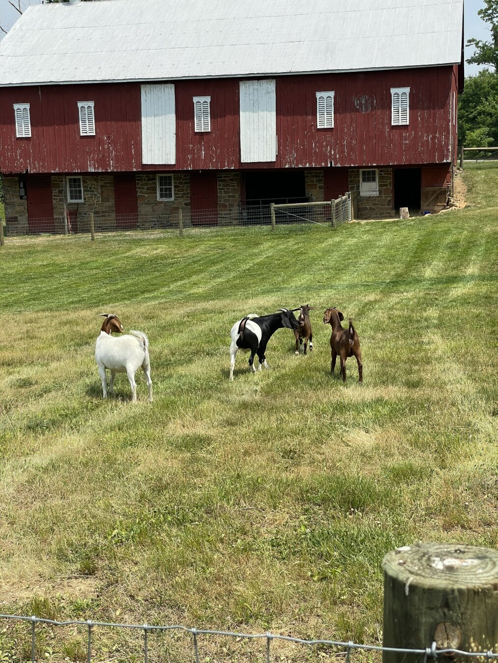 A meetup in the field