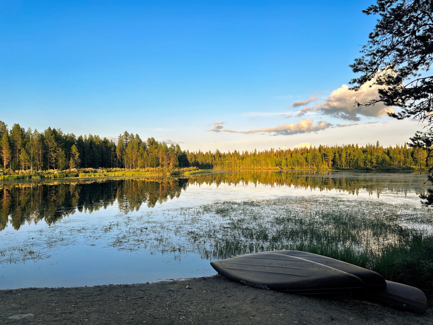 A forest is reflecting in a calm lake. Blue sky and late afternoon light. A small beach on the lower part of the image.