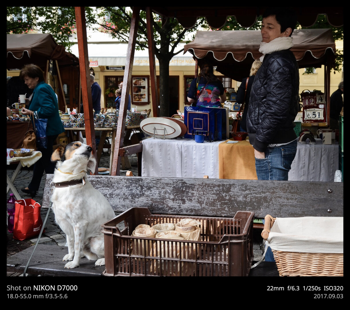 A street vendor and ceramics artist (same person) wearing a puffy jacket looks adoringly at her dog, who is on a bench behind her stall. The dog is stretching and glancing over its shoulder to look at her.