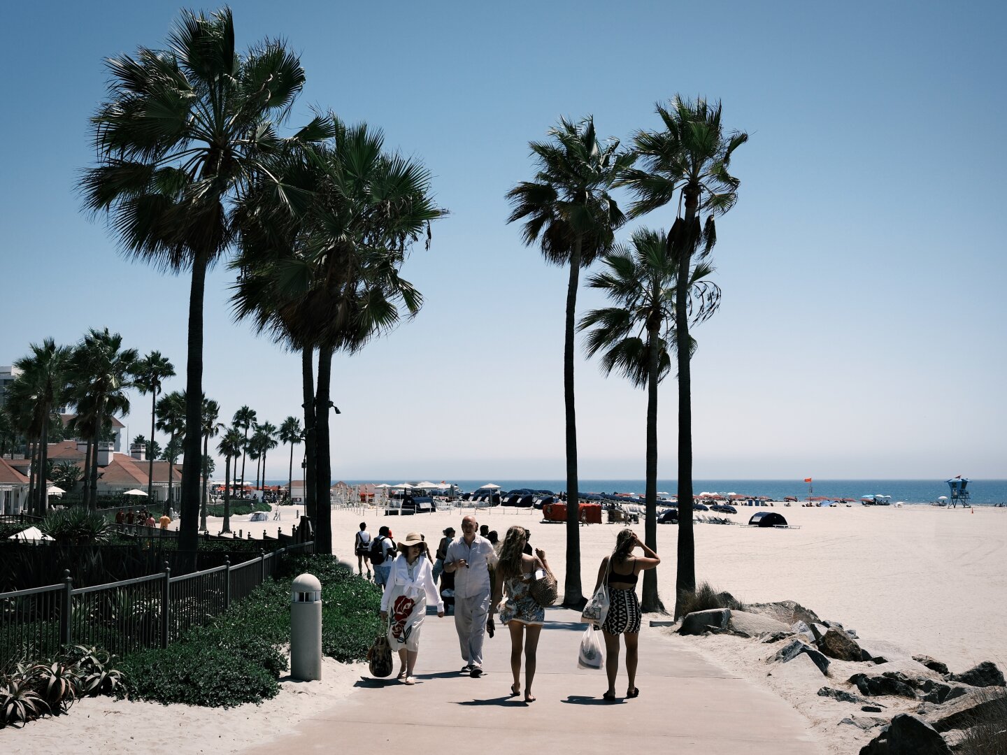 Two women walk toward the beach, along a sidewalk. A few other people are walking toward the camera. The group is framed by palm trees on either side. The ocean is in the background.