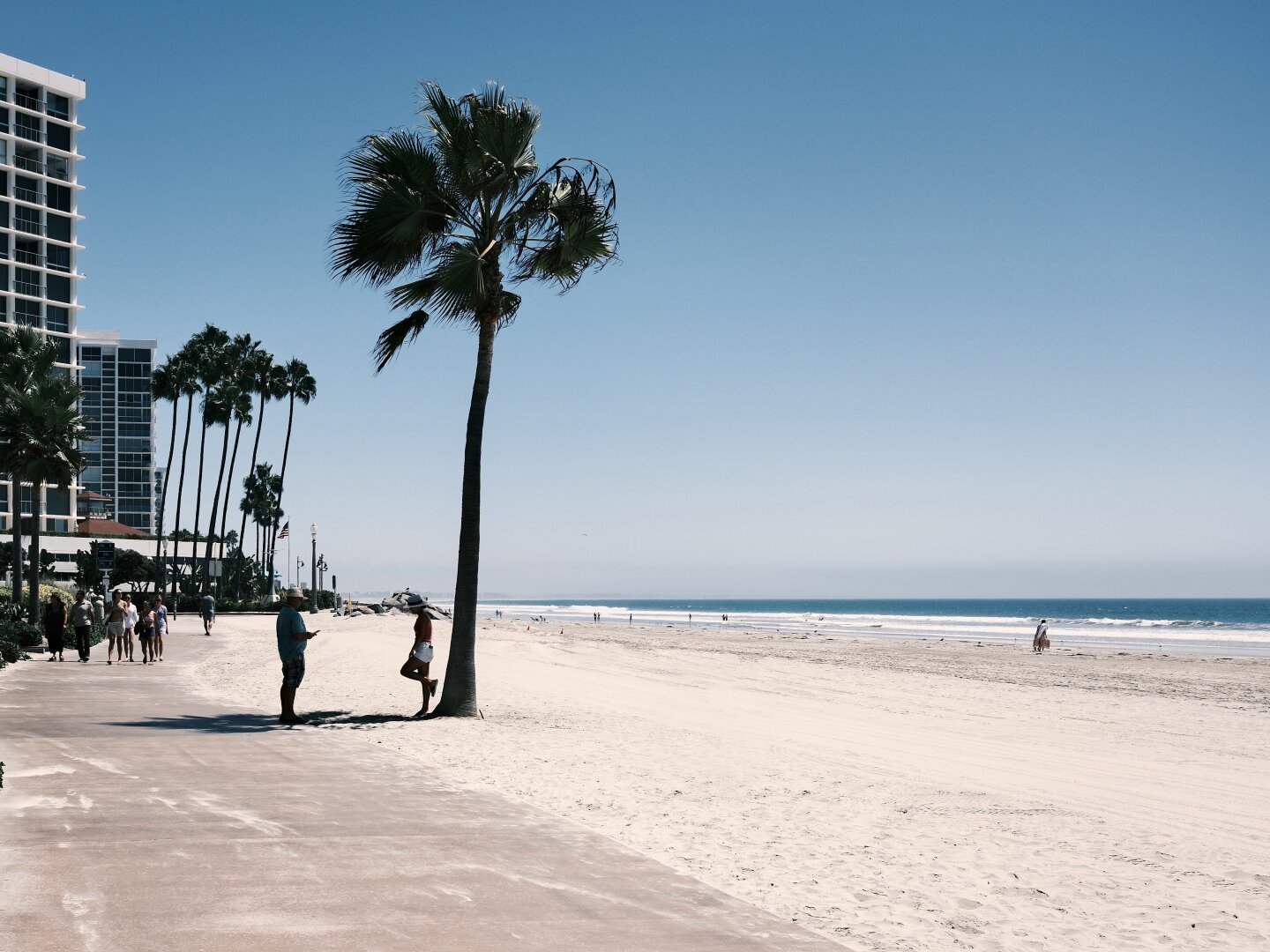 A palm tree stands tall over the beach. At its base, a woman is having her male partner take what is hopefully a lovely photo of her.