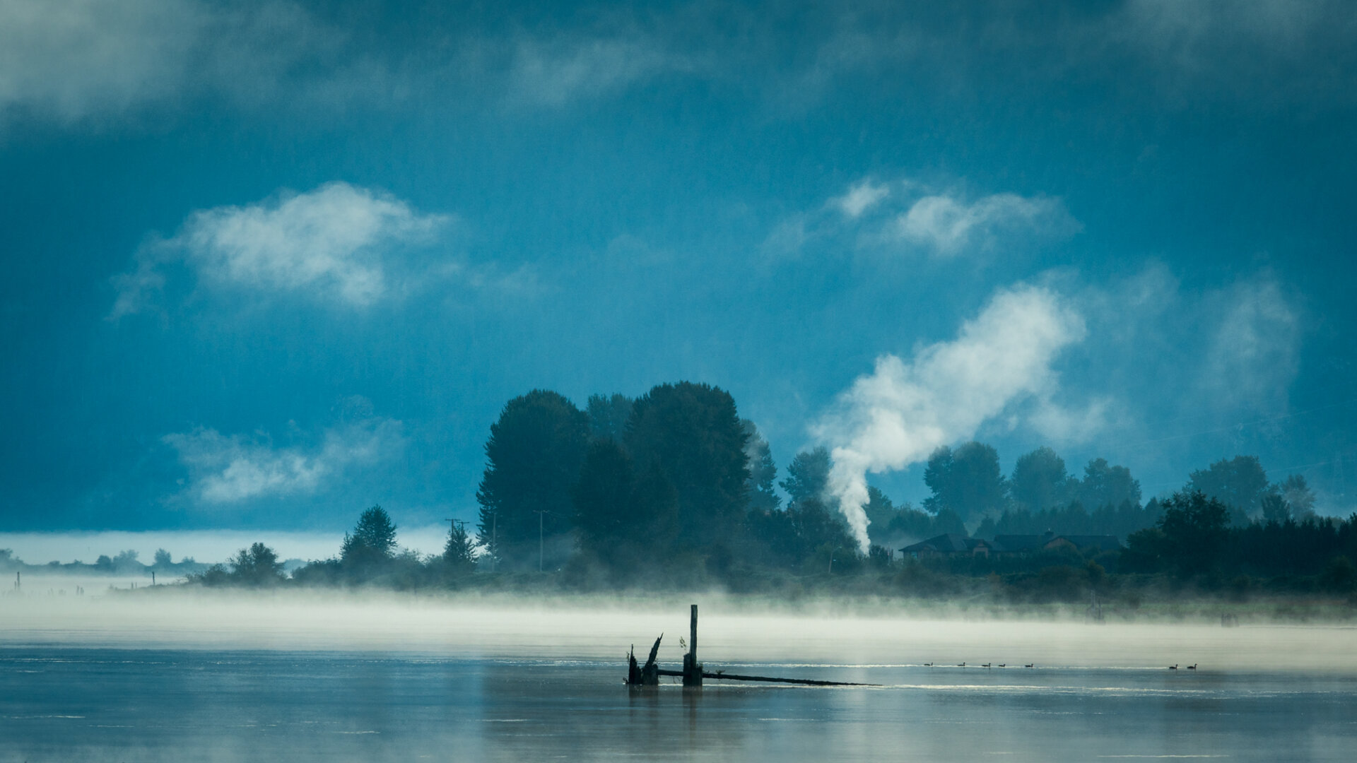 A photograph of a small farm on the banks of the Pitt River in Pitt Meadows, BC. It is early morning, and the sun has not yet risen properly, so there is a blue / teal cast to the scene. There is a white plume of smoke or steam coming up from the farm, from an unseen piece of machinery. This plume compliments several small, low lying clouds nearby. A dilapidated pier is seen in the foreground, with some ducks swimming by.