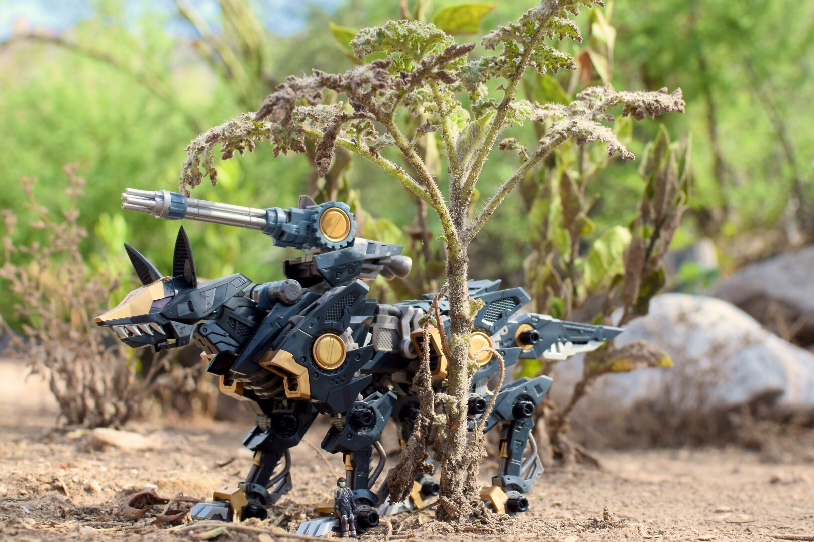 Photo of a scale model of a robotic animal called a Zoid. This Zoid is named Shadow Fox. It resembles a mecha fox and is covered in black armor with gold accents. On its back is a large machine gun. The Shadow Fox is standing under a small plant, but due to its scale it looks like a large tree.