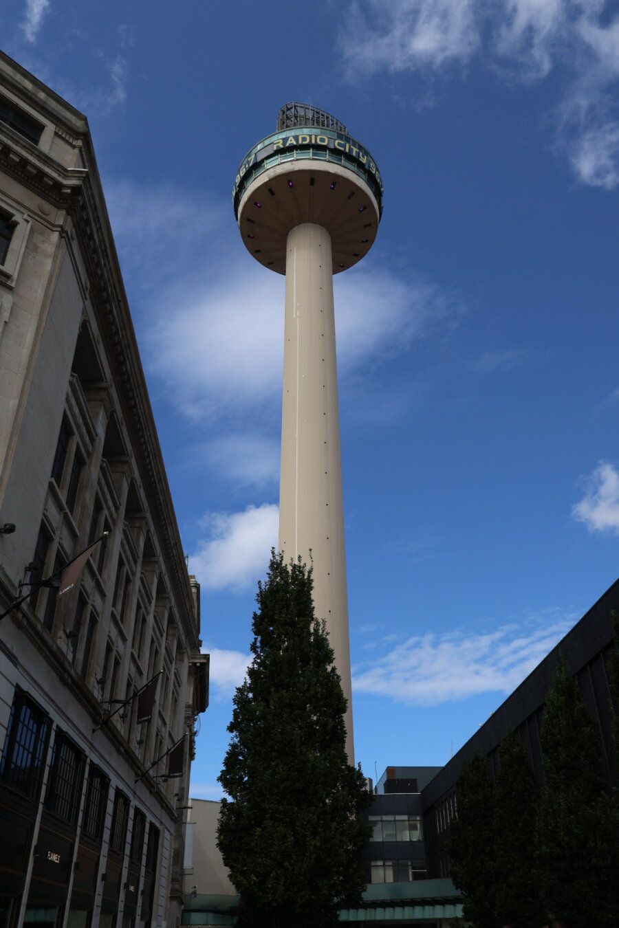 Radio City tower using a seemingly concrete looking foundation towers above other buildings in a city. A tree is included for scale.