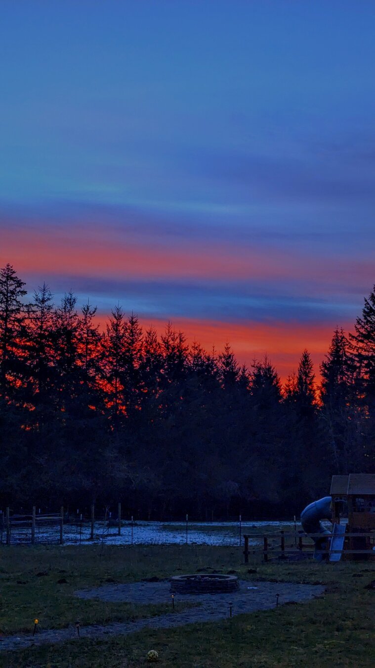 Sky above trees at dusk, clouds with bright shades of pink and purple