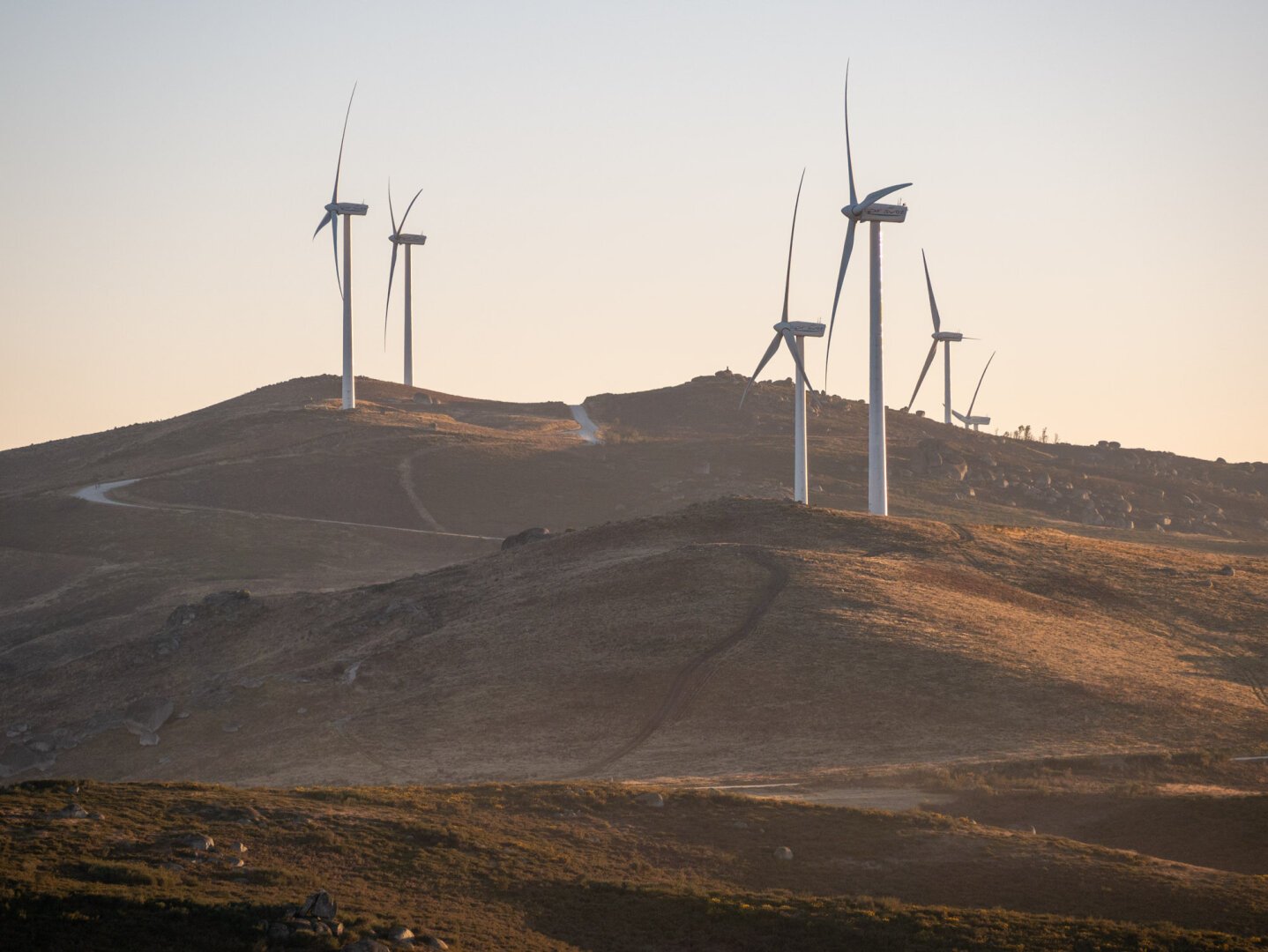 A photograph of wind turbines on top of hills, connected by an access road winding through the landscape. The hills are yellowish as the sun prepares to set.