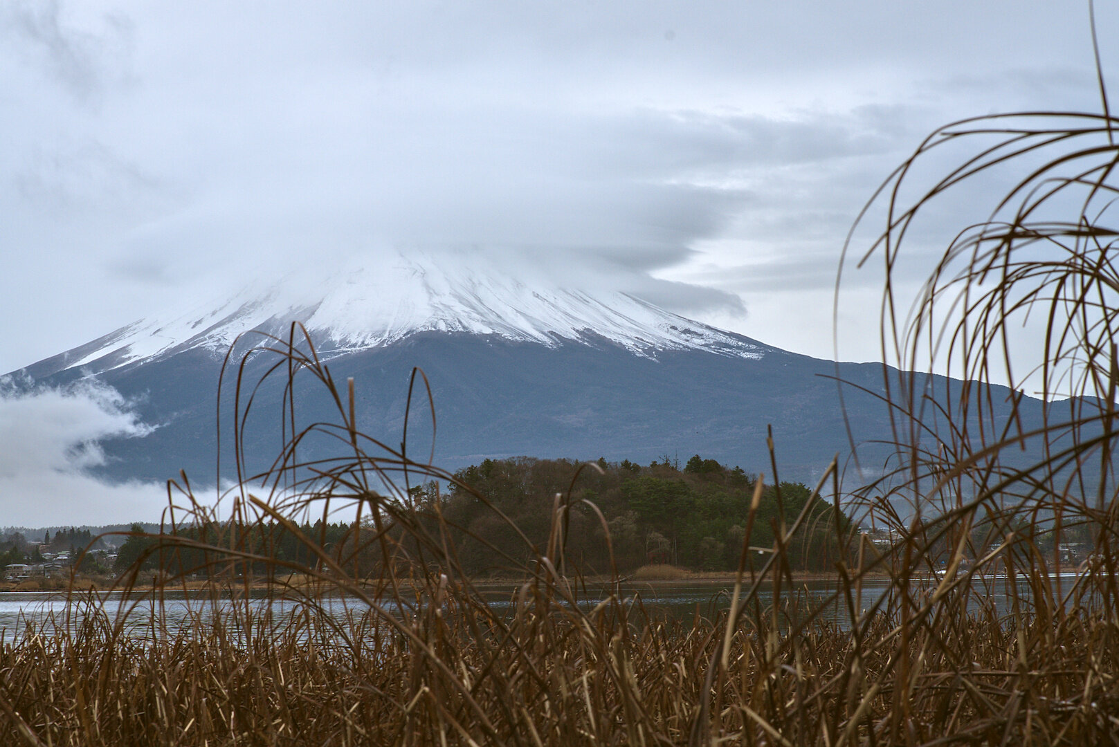 A photograph of Mt Fuji in the distance. The composition is as follows: in the foreground, a layer of lakeside foliage - reeds or something similar. A thin slice of a view of the lake. In the middle portion of the image is a view of the opposite side of the lake, where some trees can be seen in the middle, and a small number of buildings can be seen either side. The upper half of the image is taken up by Mt Fuji and the sky. Most of the mountain is distant and covered in trees, but the upper portion is snow-capped. The very top of the mountain is hidden by a donut-shaped ring of cloud. The lower-left portion of the mountain is obscured by ground-level foggy cloud. The reeds in the foreground also break through parts of the image in the lower-left centre and the right third. It's an overcast winter day, with browns, whites, and autumnal hues dominating the colour palette.
