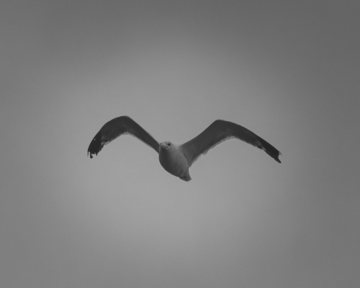 Cannon Beach for summer break

#cannonbeach #oregon