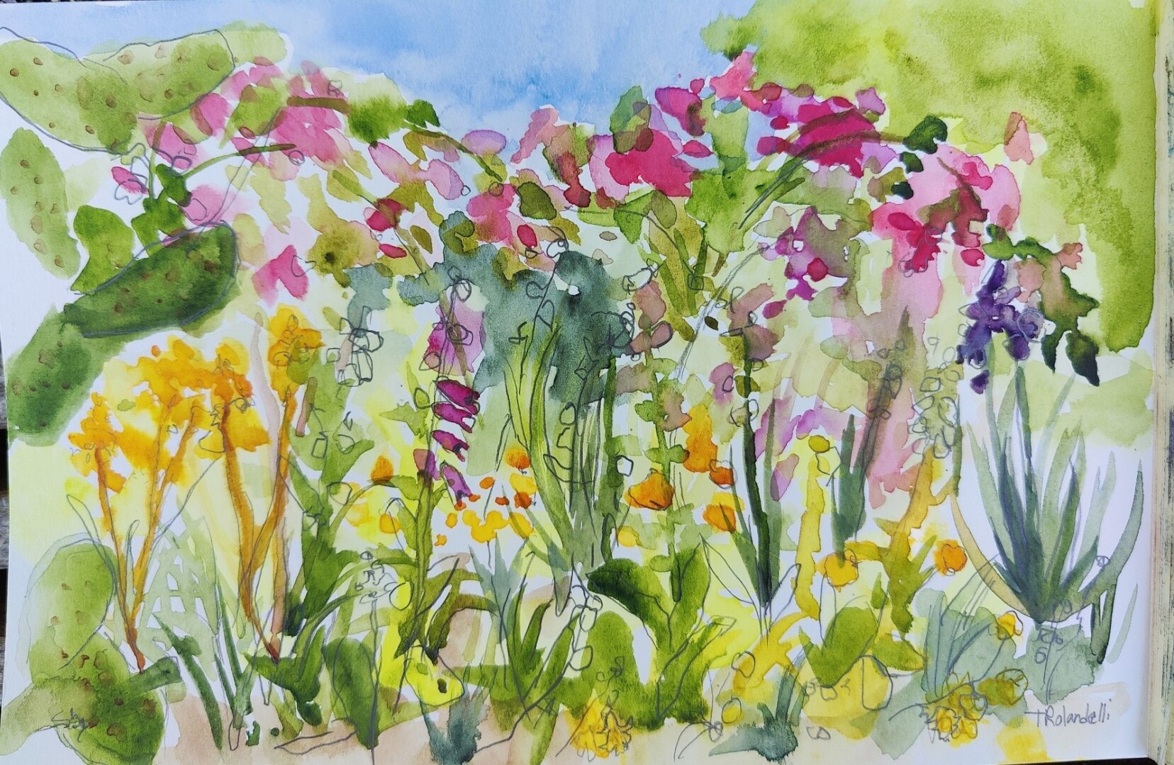 Watercolor of a garden