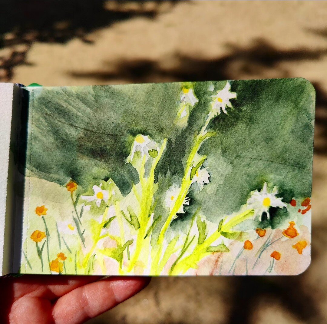 A watercolor study of white flowers, without using masking fluid to keep the page white underneath blue green paint.