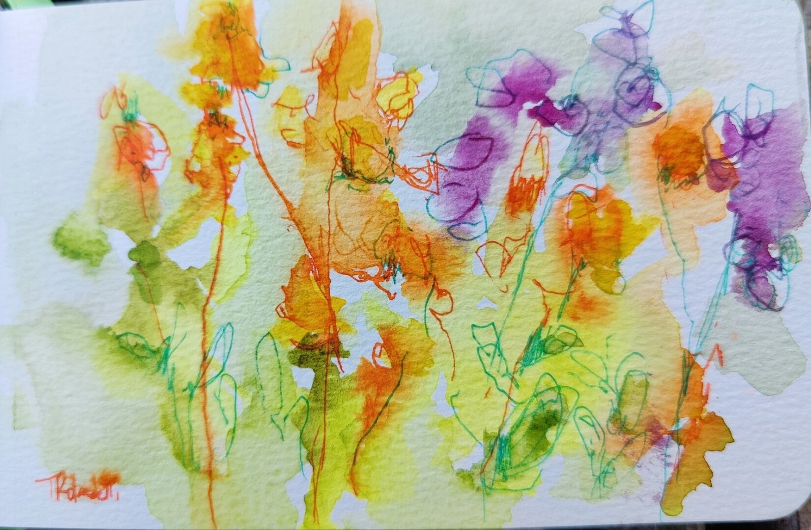 Quick sketch of flowers