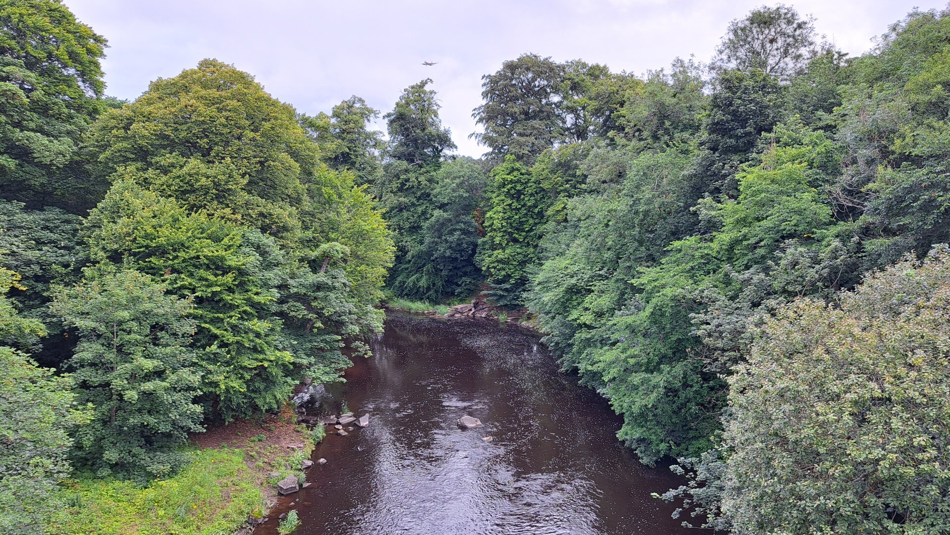 A river winds into the middle distance. Green trees line it on either side.