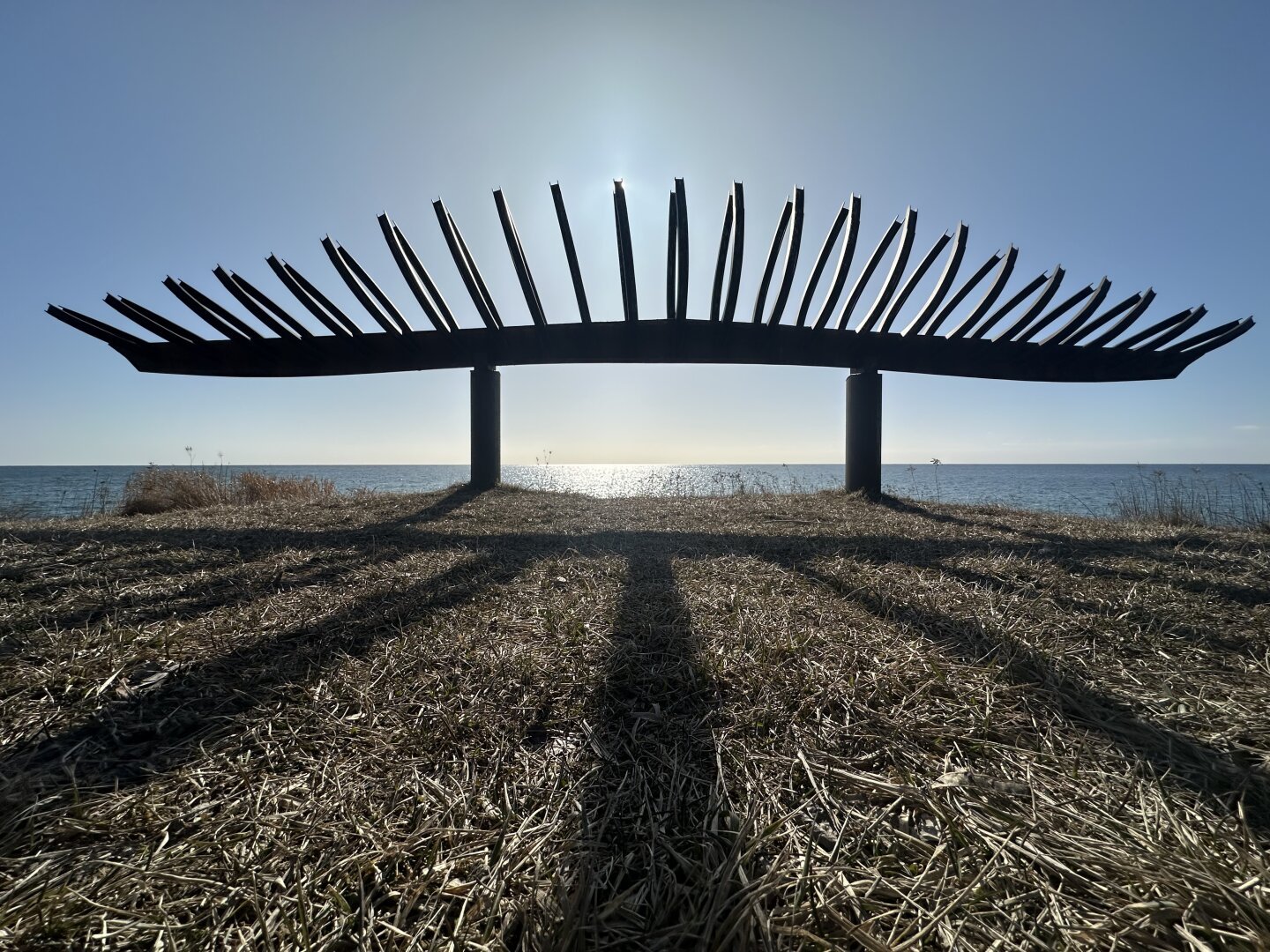 Against a backdrop of sun filled sky over water and dry grass, a skeletal vertebrate like sculpture of rusting irony.  The sun is behind the spines to dramatic effect. Framing is very centered and wide angled.
