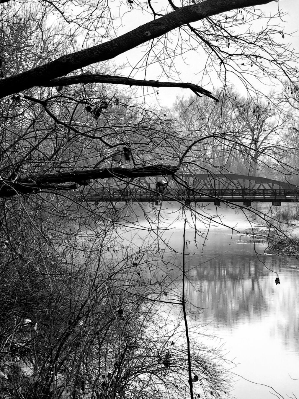 Bridge over a creek from behind trees. Black and white