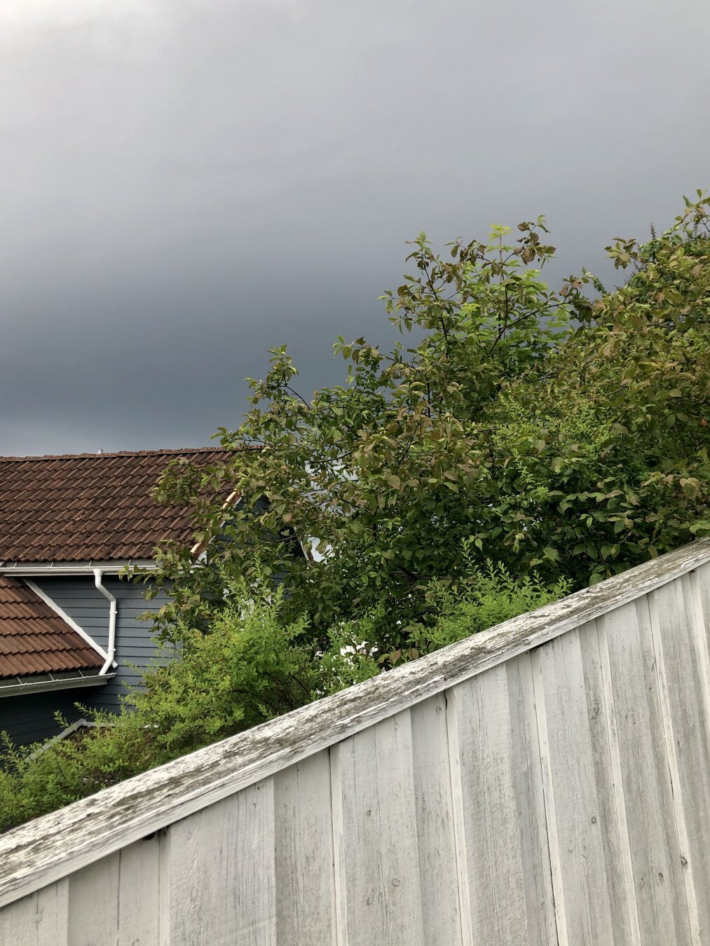 Dark grey cloud over a wooden fence.