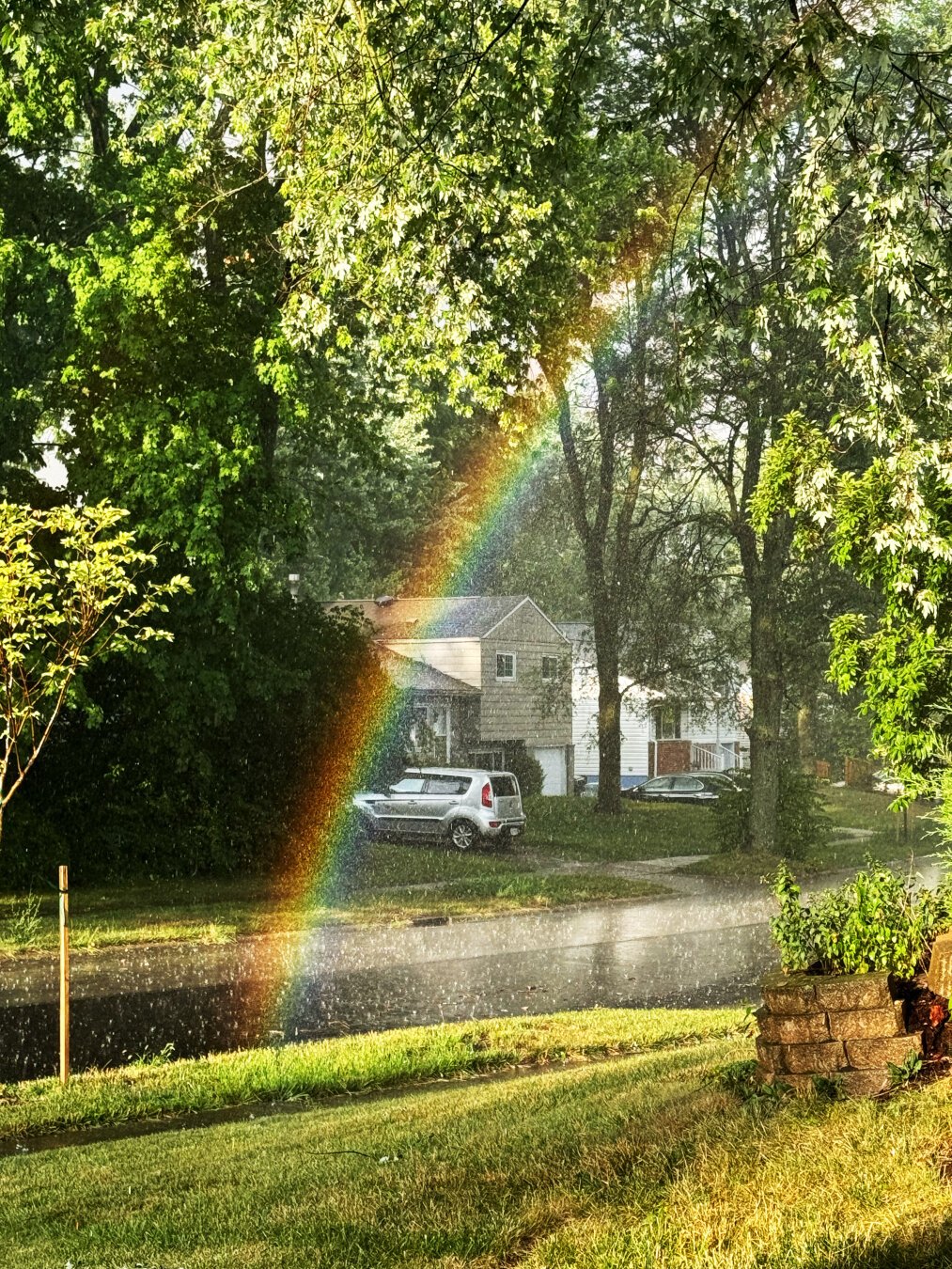 An incredibly intense rainbow ends in the road right in the middle of the photograph. The trees and grass are bright green. Heavy rain can be seen falling in the bright sunshine. There is a distinct lack of a pot o’ gold, much to the chagrin of the photographer.