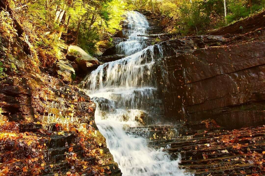A small waterfall in the forest. The water flows down several small cascades.