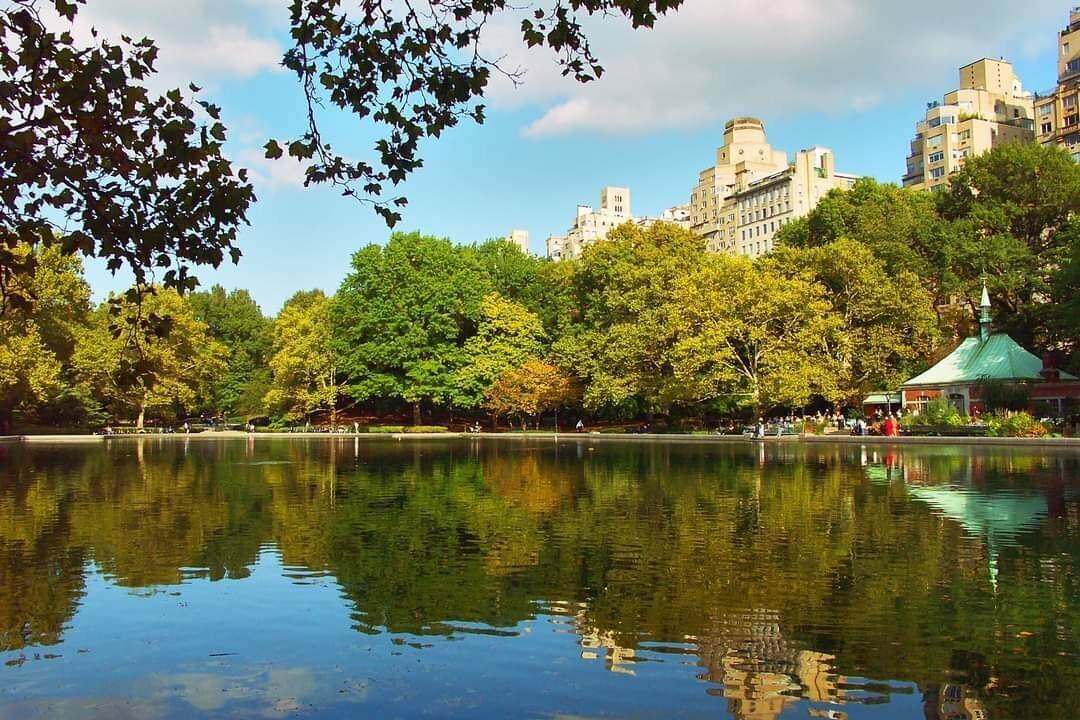 A lake in the middle of Central Park surrounded by tall trees with fall foliage. A few skyscrapers loom in the background. The trees are reflected in the calm water of the lake.