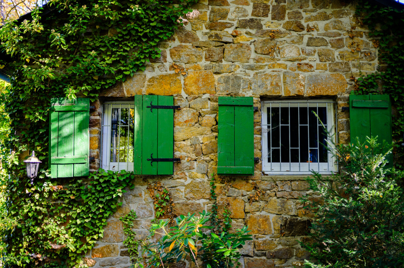 Wer wohnt denn hier? #fotovorschlag (Denkt Euch für morgen auch den #fensterfreitag dazu)
#photography #architecture #windows #ivy