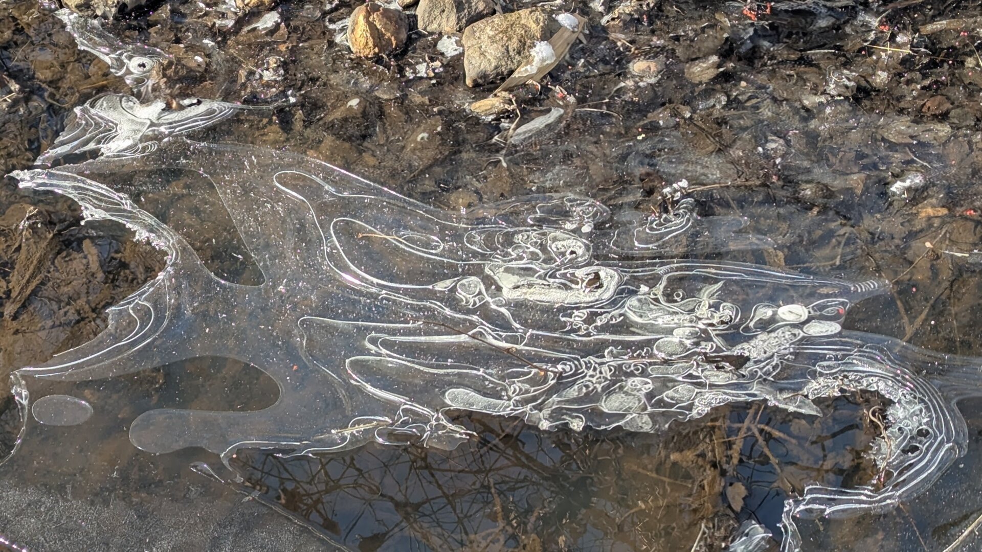 Thin layer of ice on a stream in an interesting pattern.