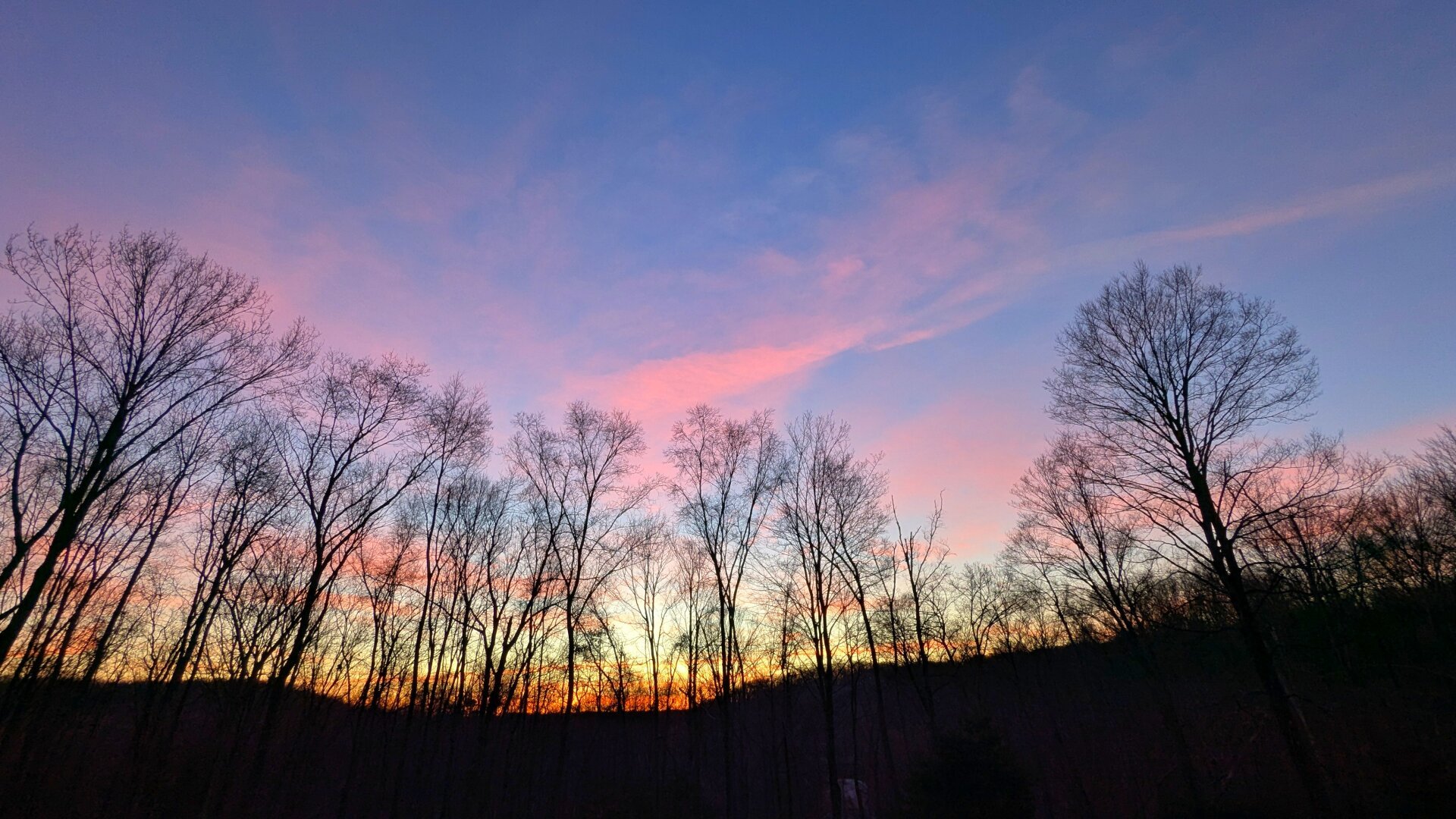 A pink and blue sunrise in front of a line of trees and a hill.