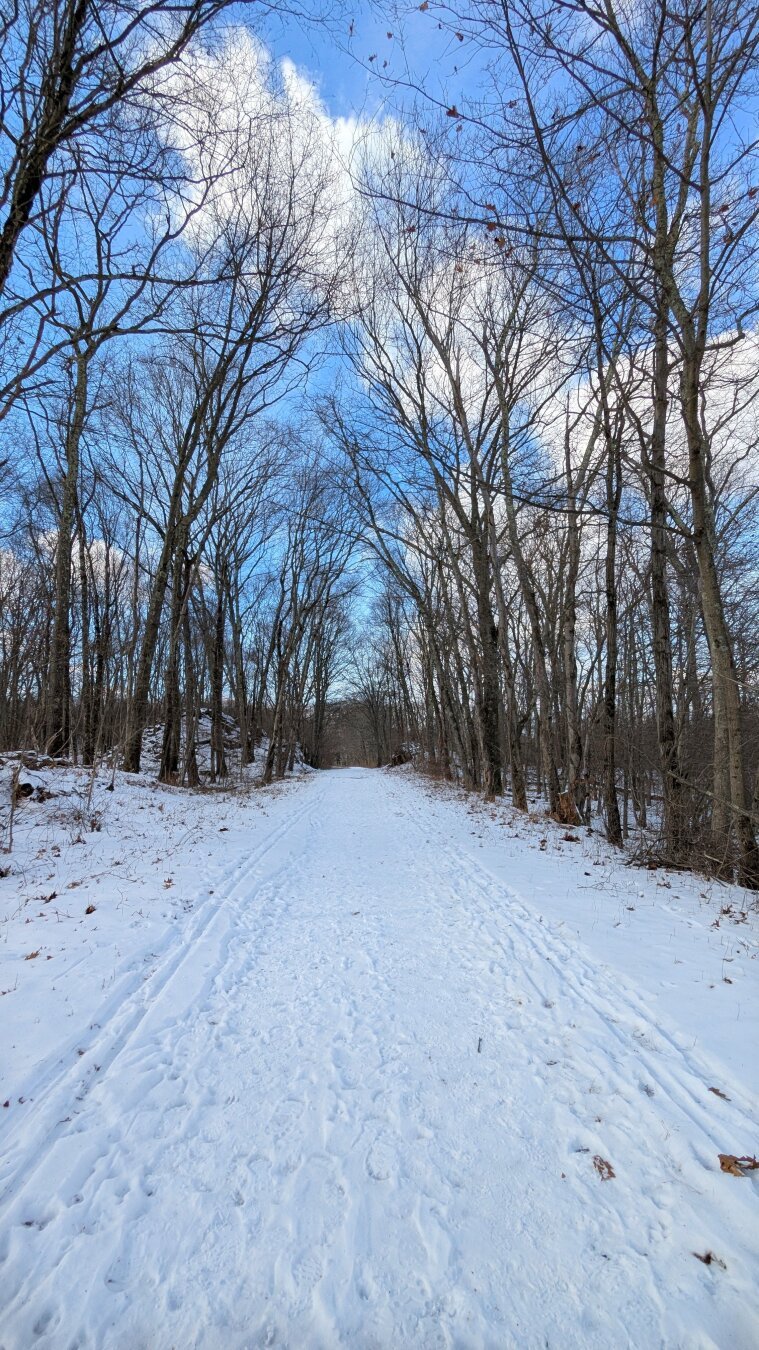 Snow covered Bridle Trail under a bright blue sky with a few clouds.