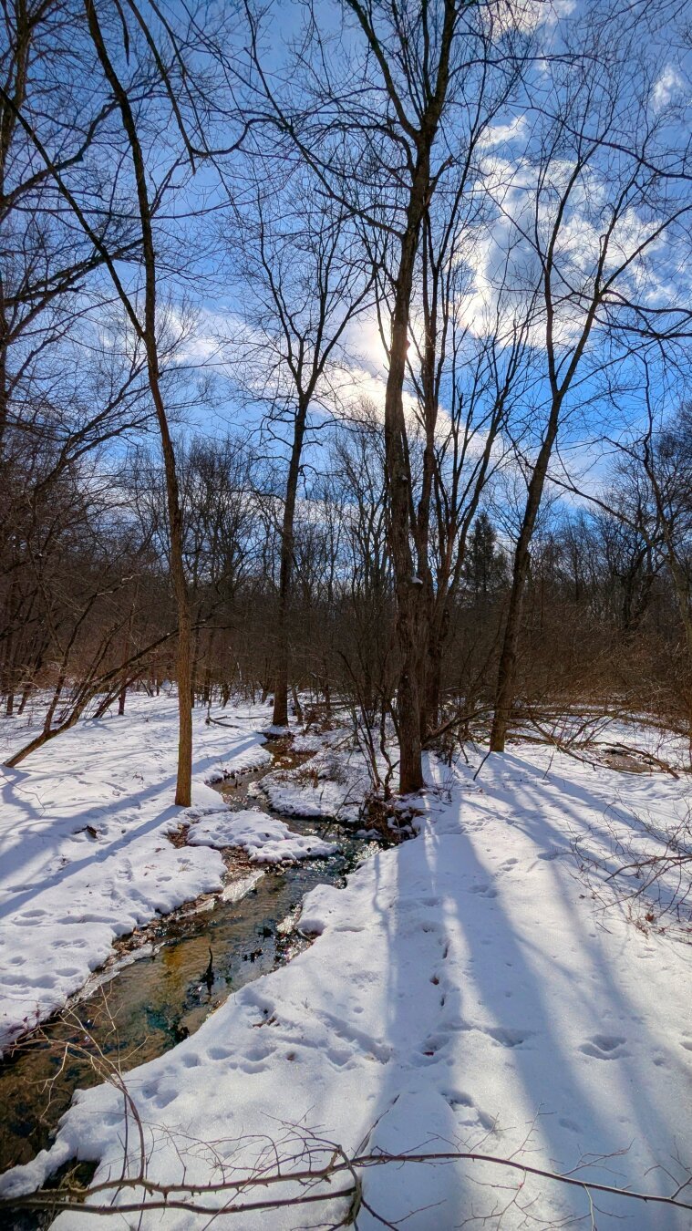 Stream running through snow covered woods.