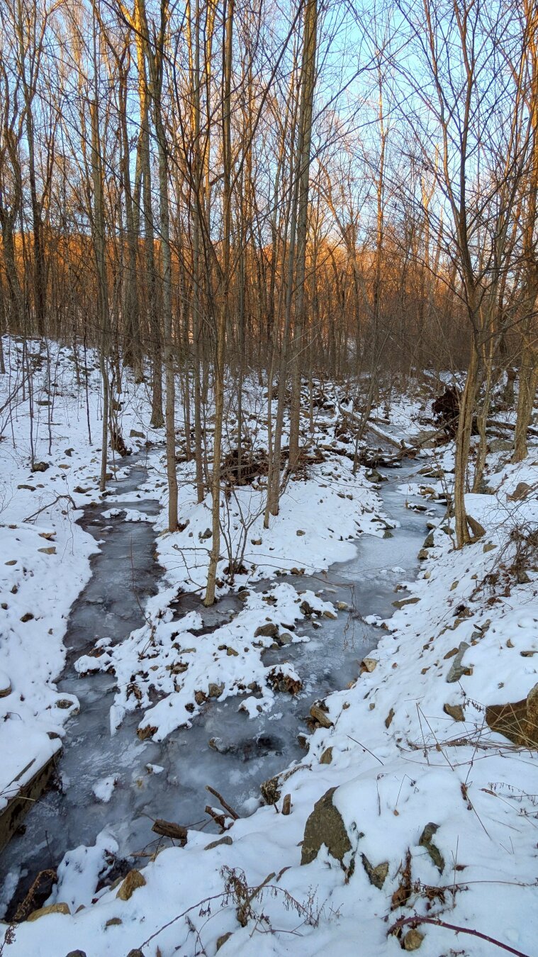 Small stream running through the woods, frozen into ice.