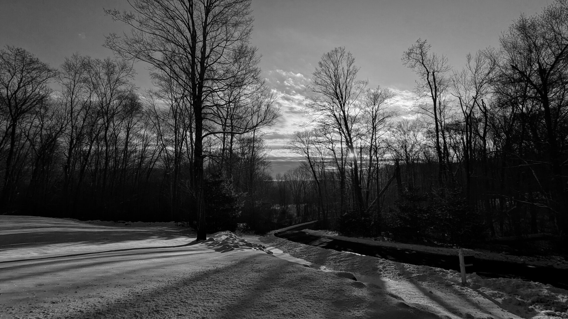 Black and white image looking down my road. The yard is snow covered and the rising sun is casting long shadows off the trees.