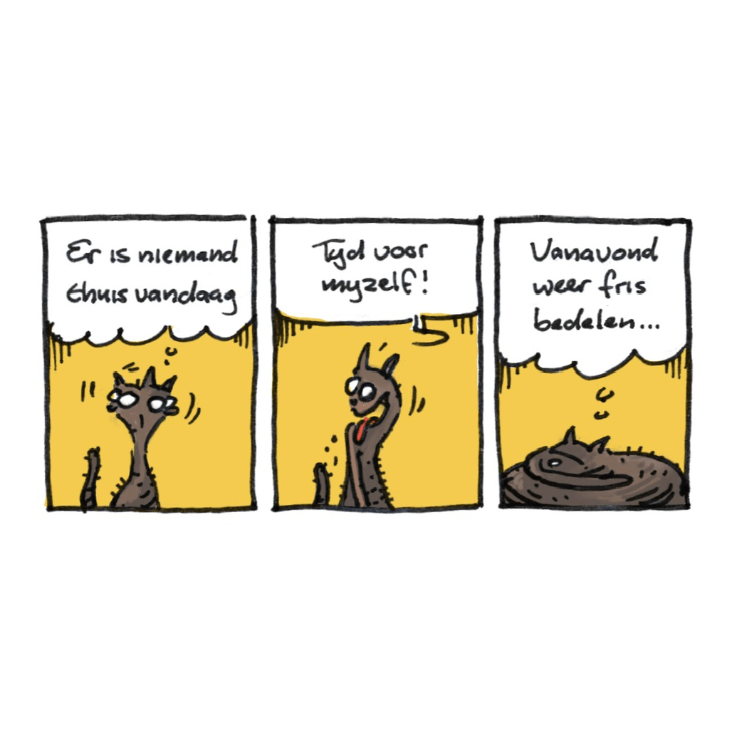 Stripje van 3 plaatjes van een donkerbruine kat op een gele achtergrond. Op het eerste plaatje kijkt ze verbaasd om zich heen terwijl ze zegt: 