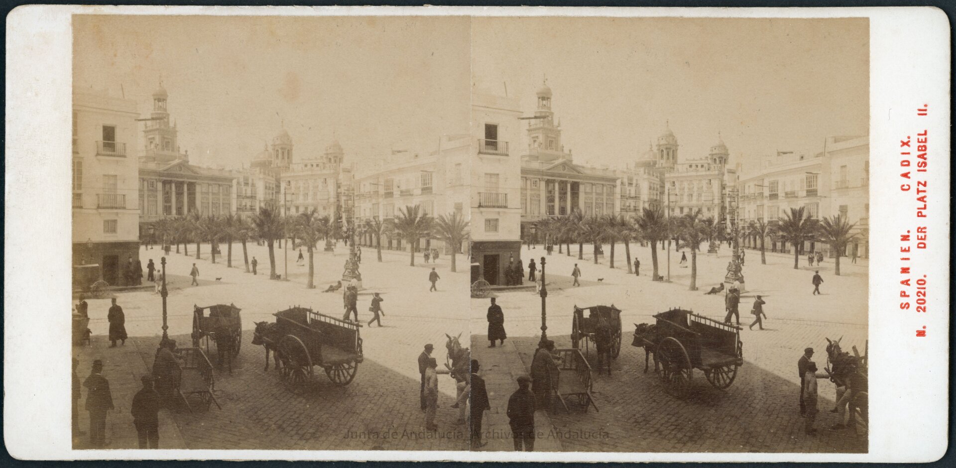 Plaza del ayuntamiento con dos hileras de palmeras pequeñas hacia este. En primer plano, hay cuatro carros, tres tirados por burros. En la esquina más cercana hay dos policías, uno sentado.
