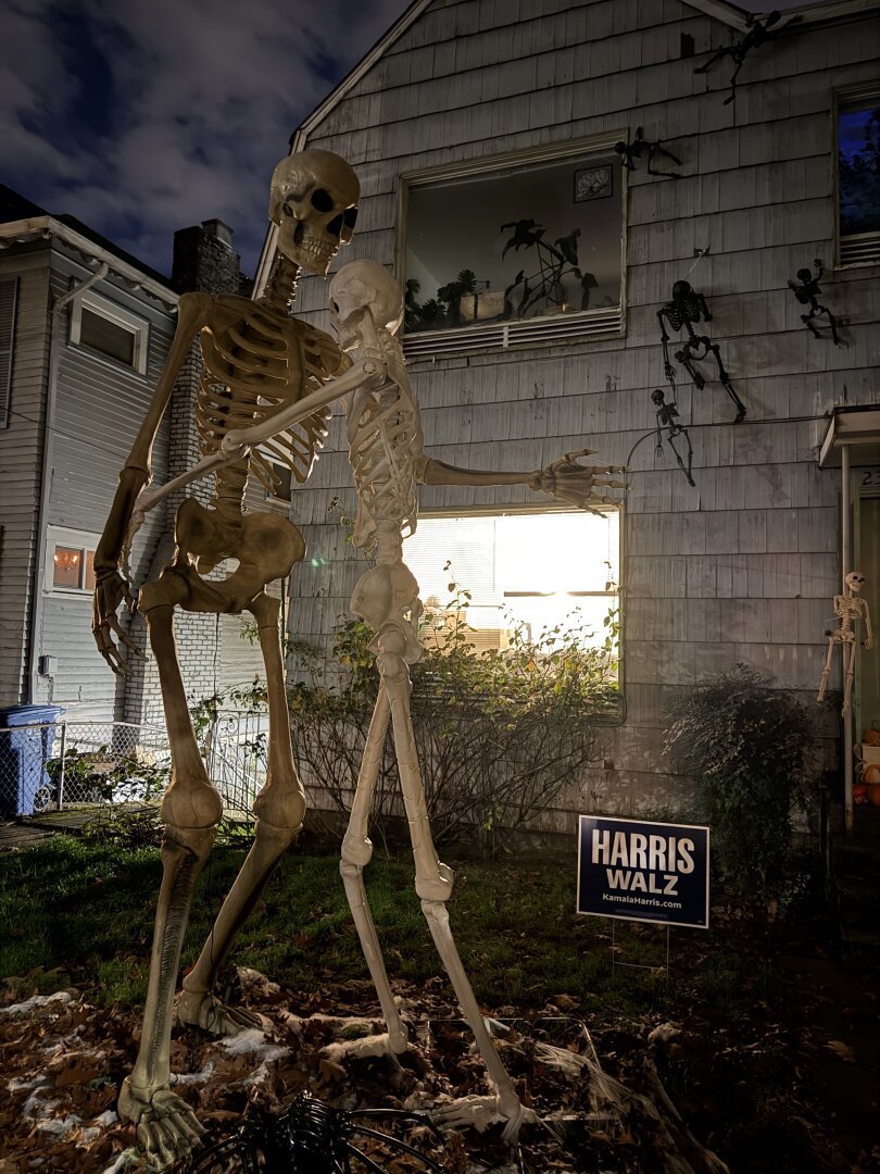 Two giant skeletons hugging in front of a Harris Walz yard sign.