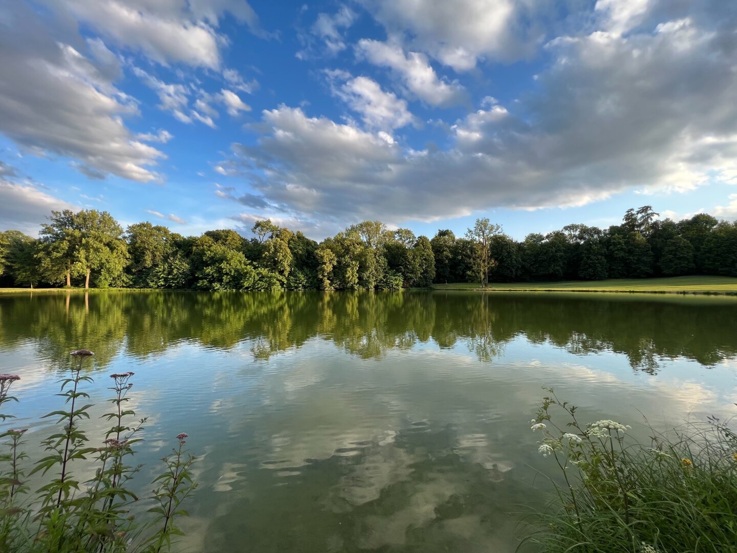 Lake in the Nymphenburger Park