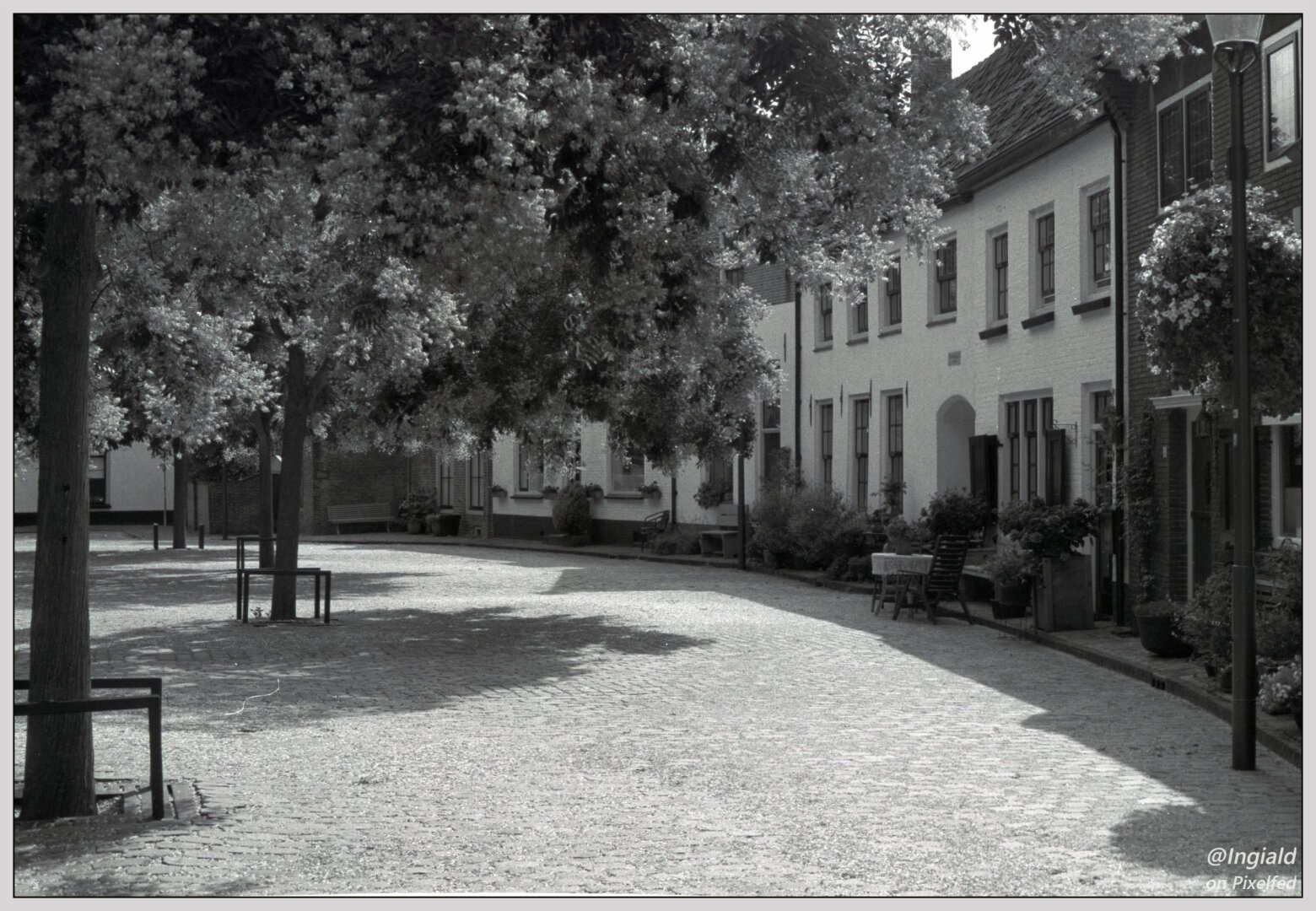 Black and white photograph of a cobbled square shaded by trees. The trees have left a veil of foliage on the cobbles. The square is surrounded by brick houses. All the houses have arranged some seating for themselves on the square, benches, chairs and tables. In the picture however, nobody is present.