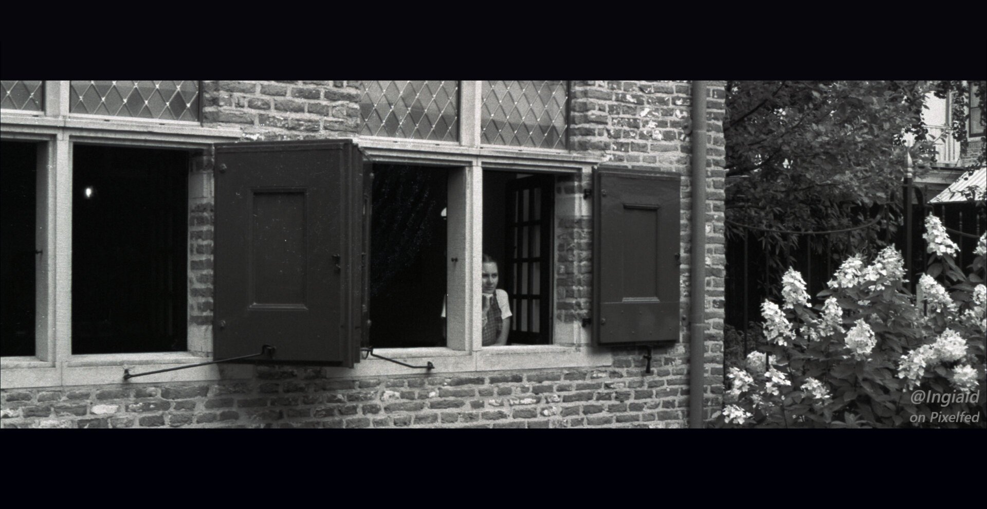 Black and white photograph cropped to a panorama. It shows a few medieval windows in a medieval facade, open with the shutters on hooks. In one of the windows a young woman is resting her head on her hand in a look of boredom.