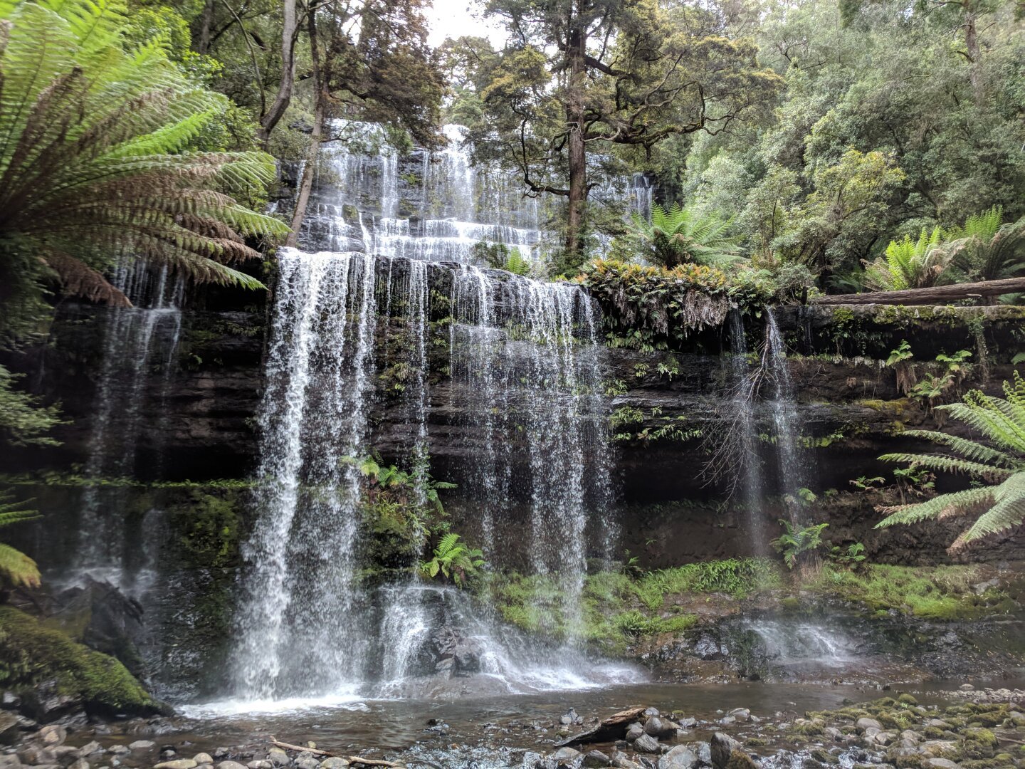 Beautiful #waterfalls in #MountField #NationalPark #Tasmania.  There was a really cool vibe in this forest.  Helped by there not being many people around.  The tall trees were incredible as well.