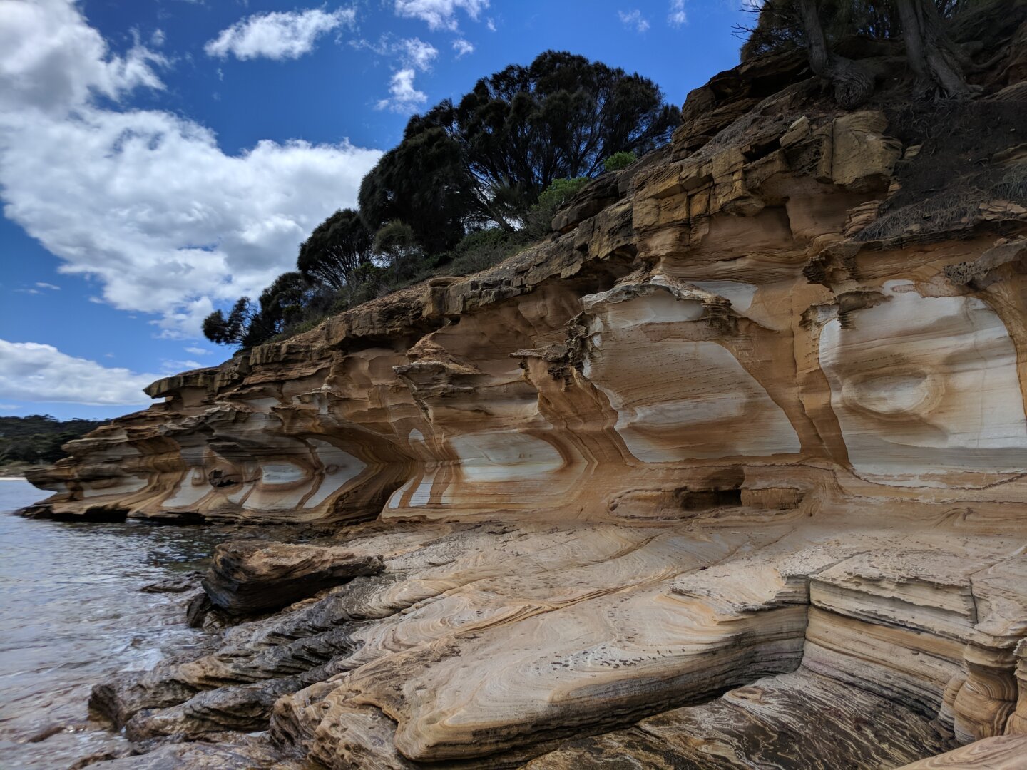 While in #Tasmania we went for a day hike on #MariaIsland in December, 2017.  It was a beautiful place and well worth the $52AUD price of the ferry tickets.  Lots of history in a small place.