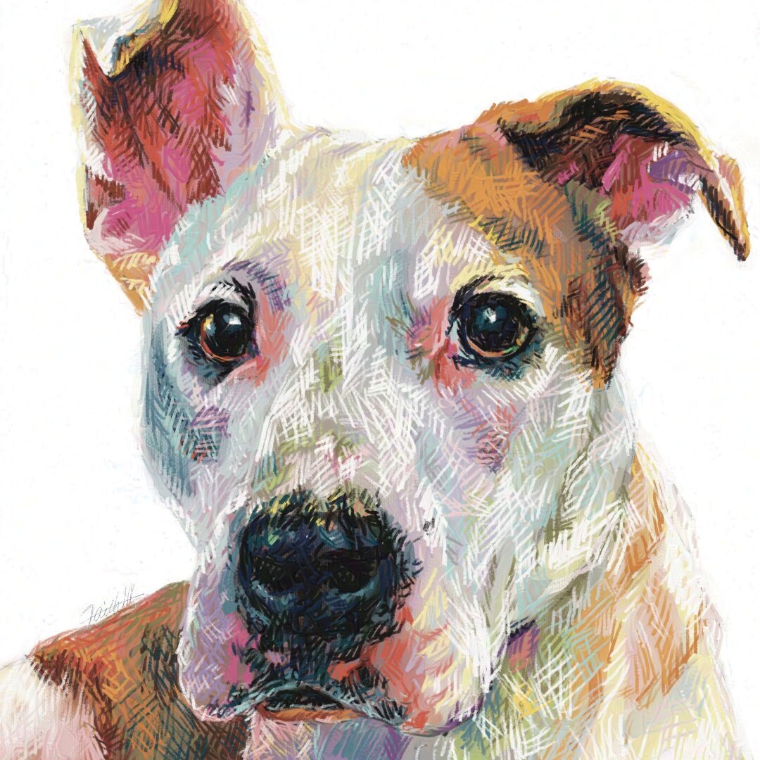 colorful crosshatch drawing of a white dog with brown spots.