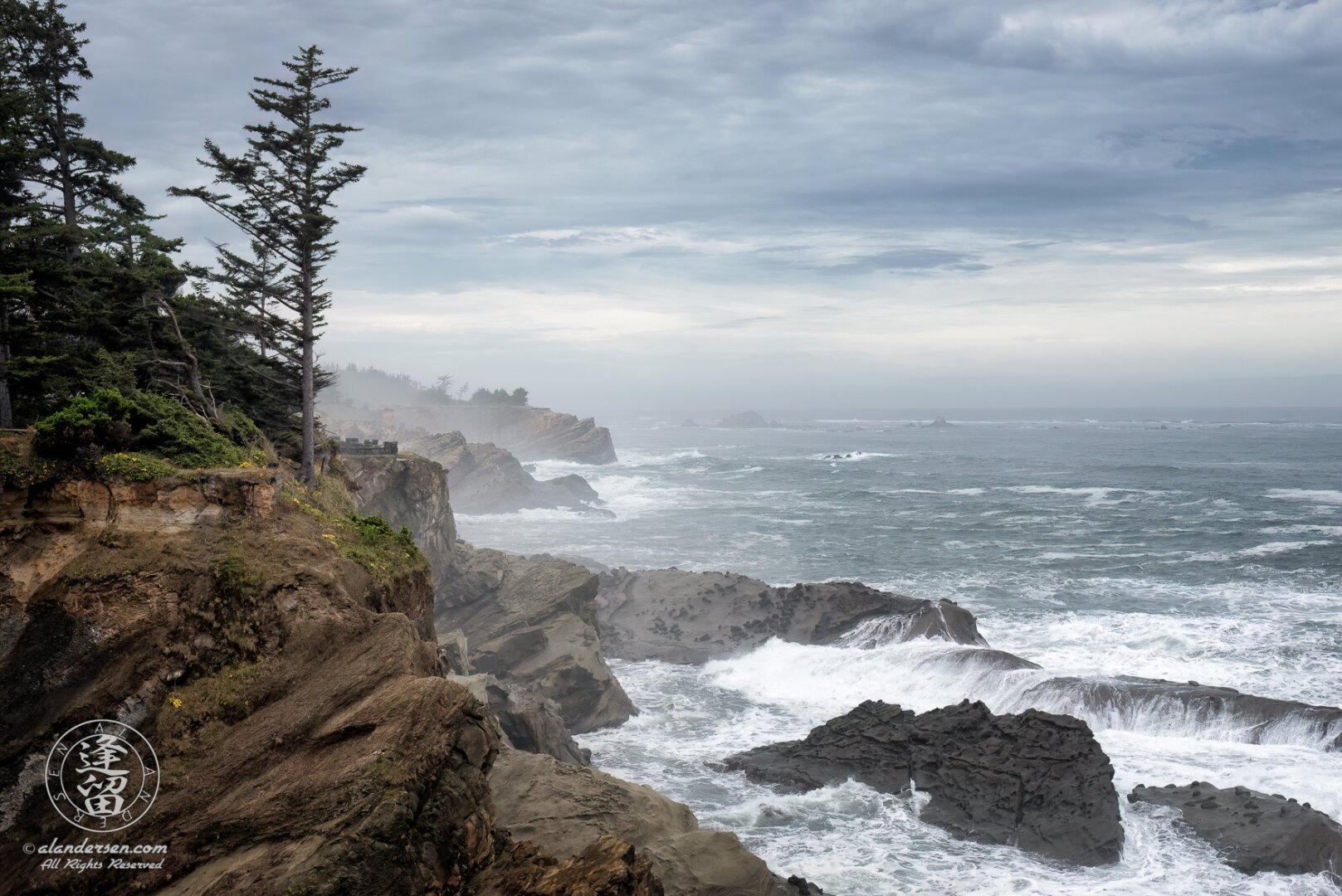 A color photograph of an evergreen tree atop a cliff overlooking the Pacific Ocean during a storm at Shore Acres State Park outside of Charleston in Oregon.