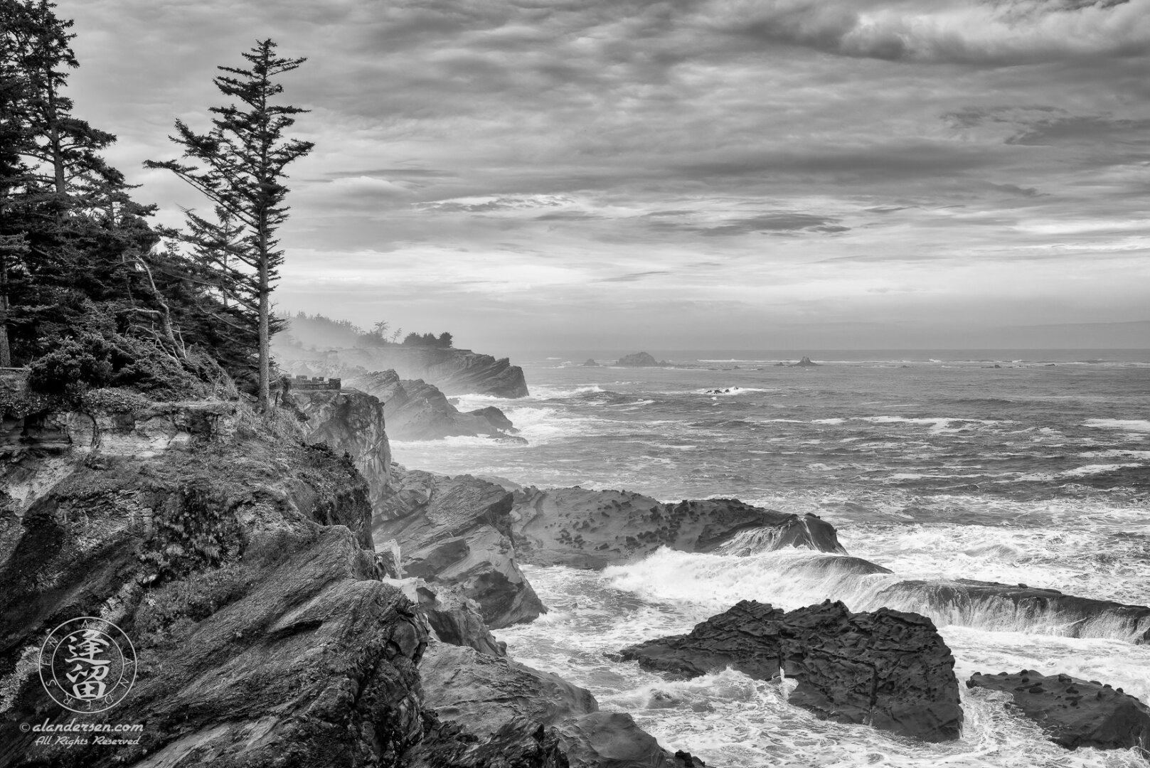 A monochrome photograph of an evergreen tree atop a cliff overlooking the Pacific Ocean during a storm at Shore Acres State Park outside of Charleston in Oregon.