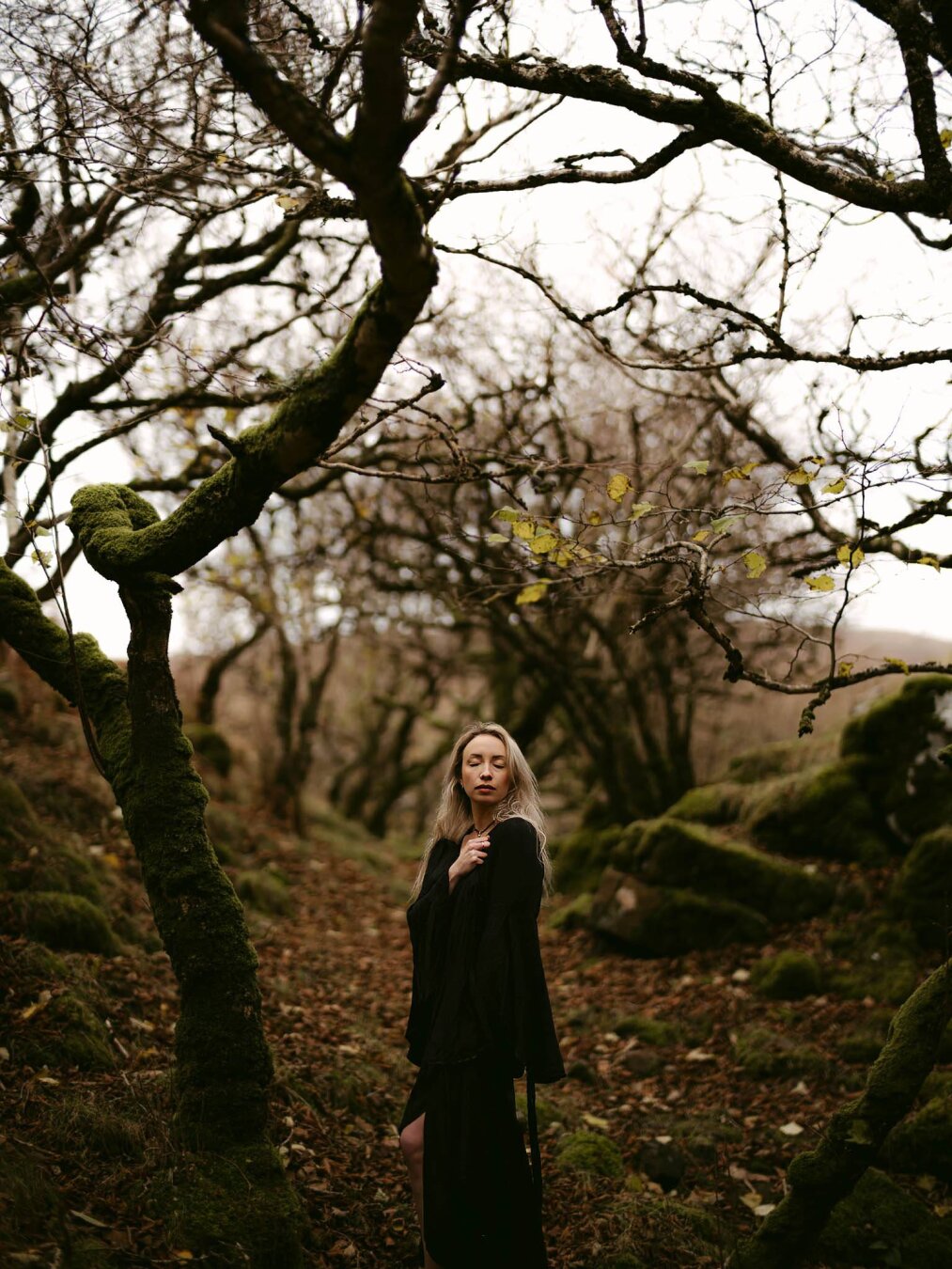The image by European Elopement Photographer Sturmsucht features a woman with long, wavy blonde hair standing in a dense, mossy forest. She is positioned slightly to the right of the center, facing forward with her eyes closed and her head tilted slightly upwards, giving her a serene expression. She is wearing a long, dark, flowing dress with wide sleeves. The forest is characterized by numerous trees with gnarled, dark branches heavily covered in vibrant green moss. Some of the branches have a few sparse yellow-green leaves, suggesting a late autumn or early winter setting. The ground is covered in fallen brown leaves and patches of green moss and grass. The background shows more of the forest, with trees receding into a soft, hazy light, creating a sense of depth and an ethereal atmosphere. The overall mood of the image is calm and mystical, with a focus on natural textures and soft lighting.