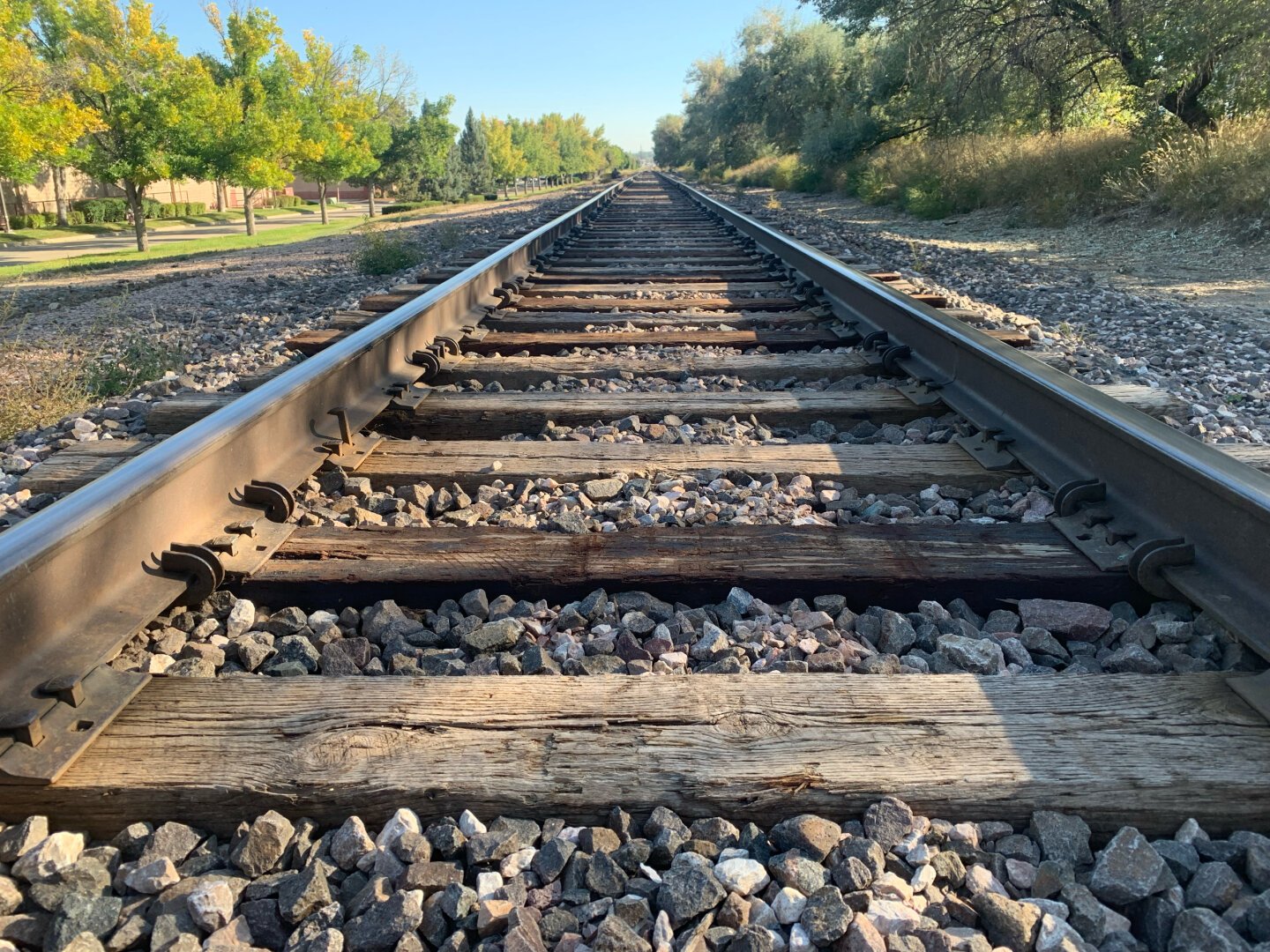 A picture of a train track looking down the tracks. The picture is taken from near the tracks and looks off into the horizon. On ether side is green, tree’s grasses and plants.