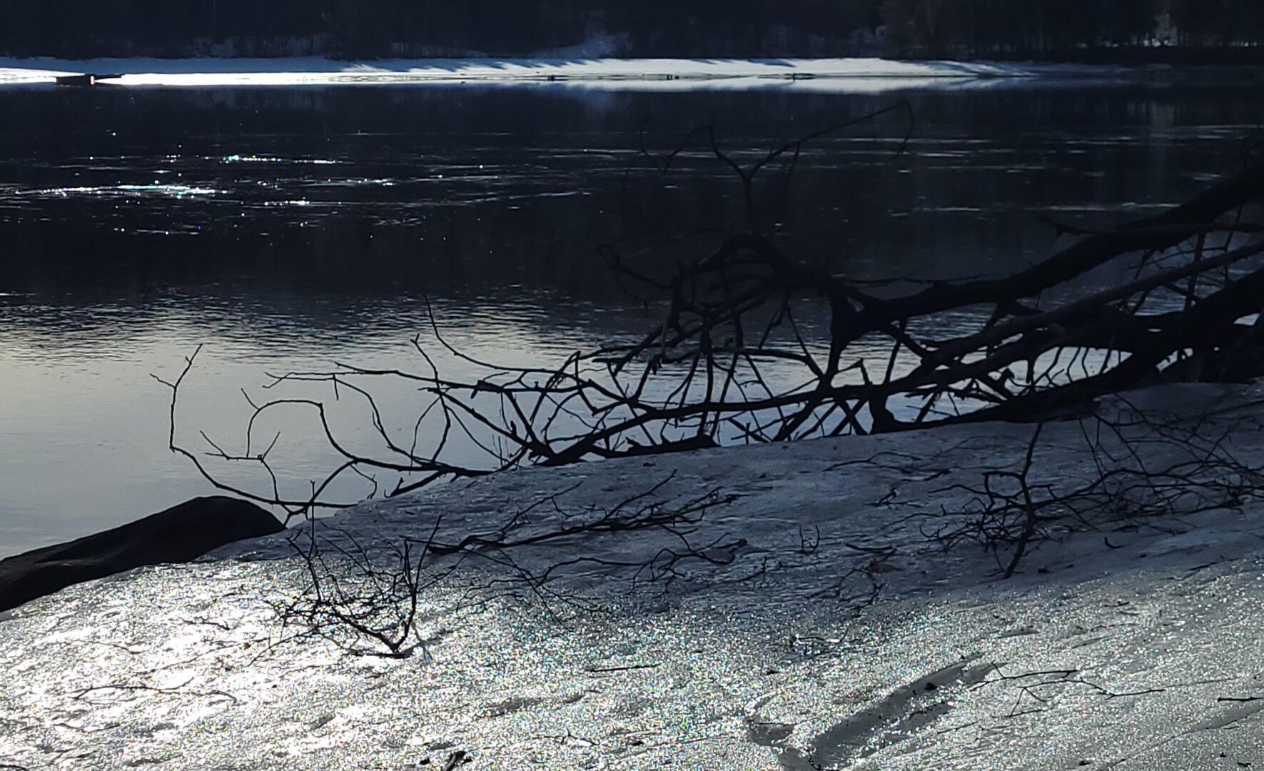 Picture taken against the sun. A shoreline of a river with glistening snow and a dead tree, looking black as it's lying in the shadows of other trees outside the picture. The other riverbank is a white line between the dark trees on land and their reflection in the water, where the sun  is leaving small sparklers on the dark parts.